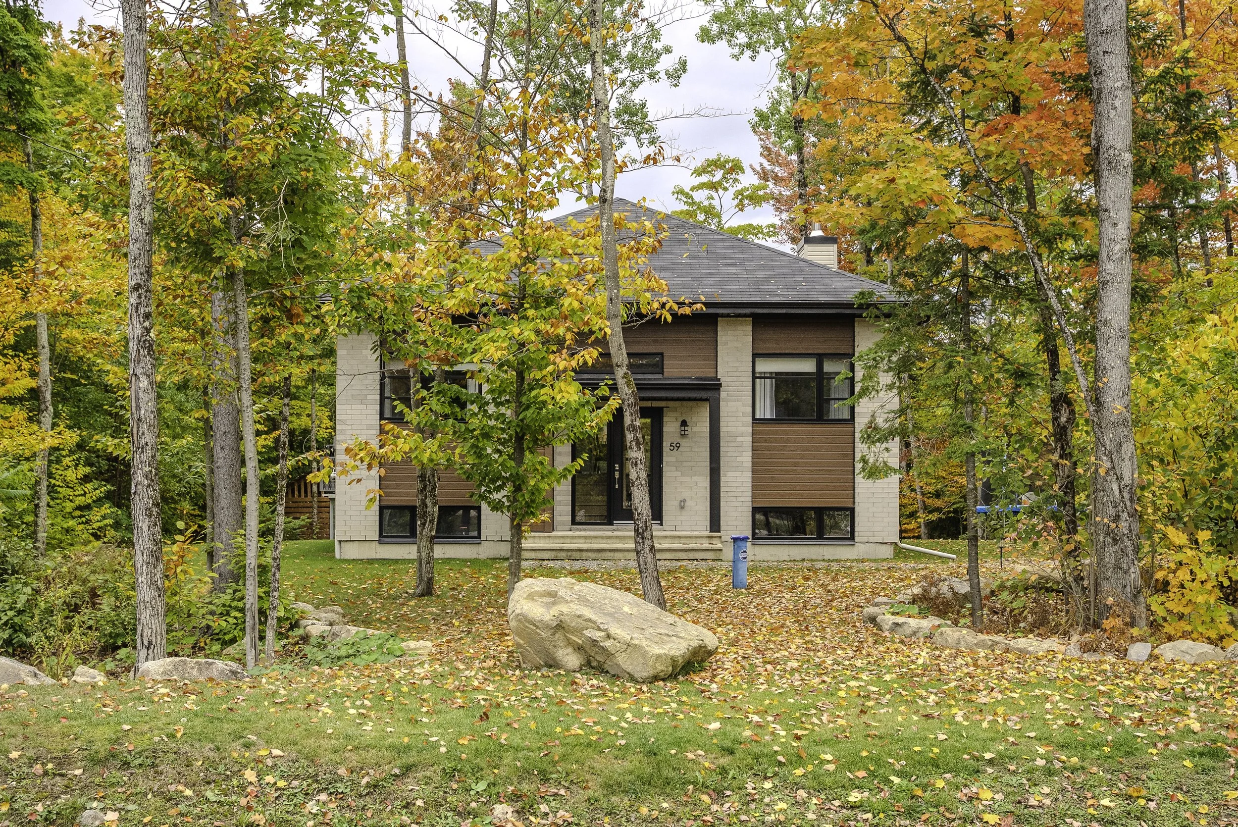 Maison moderne entourée d'arbres aux couleurs d'automne, avec feuilles tombées au sol, devant un jardin.