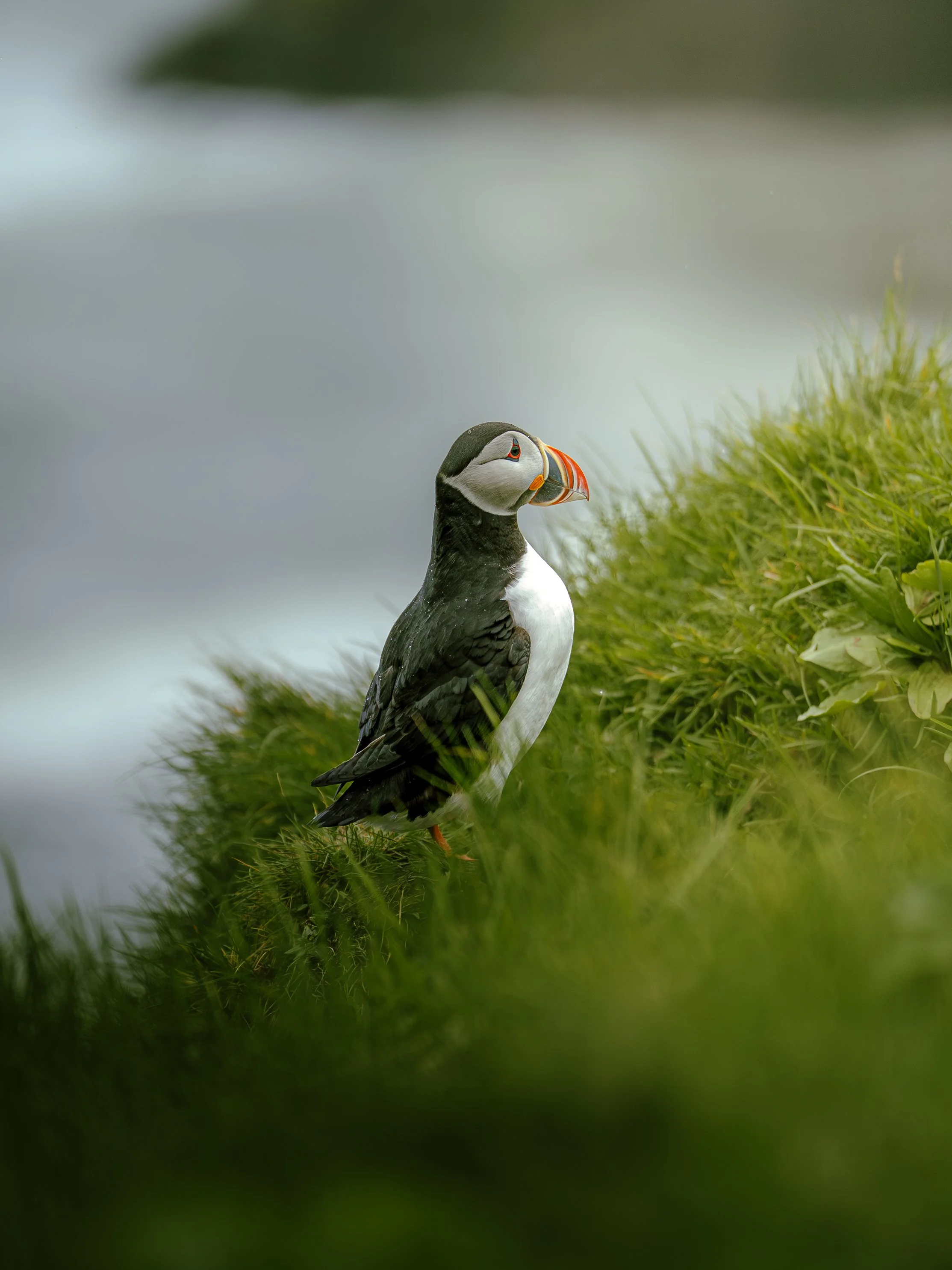 AN UNEXPECTED FRIEND