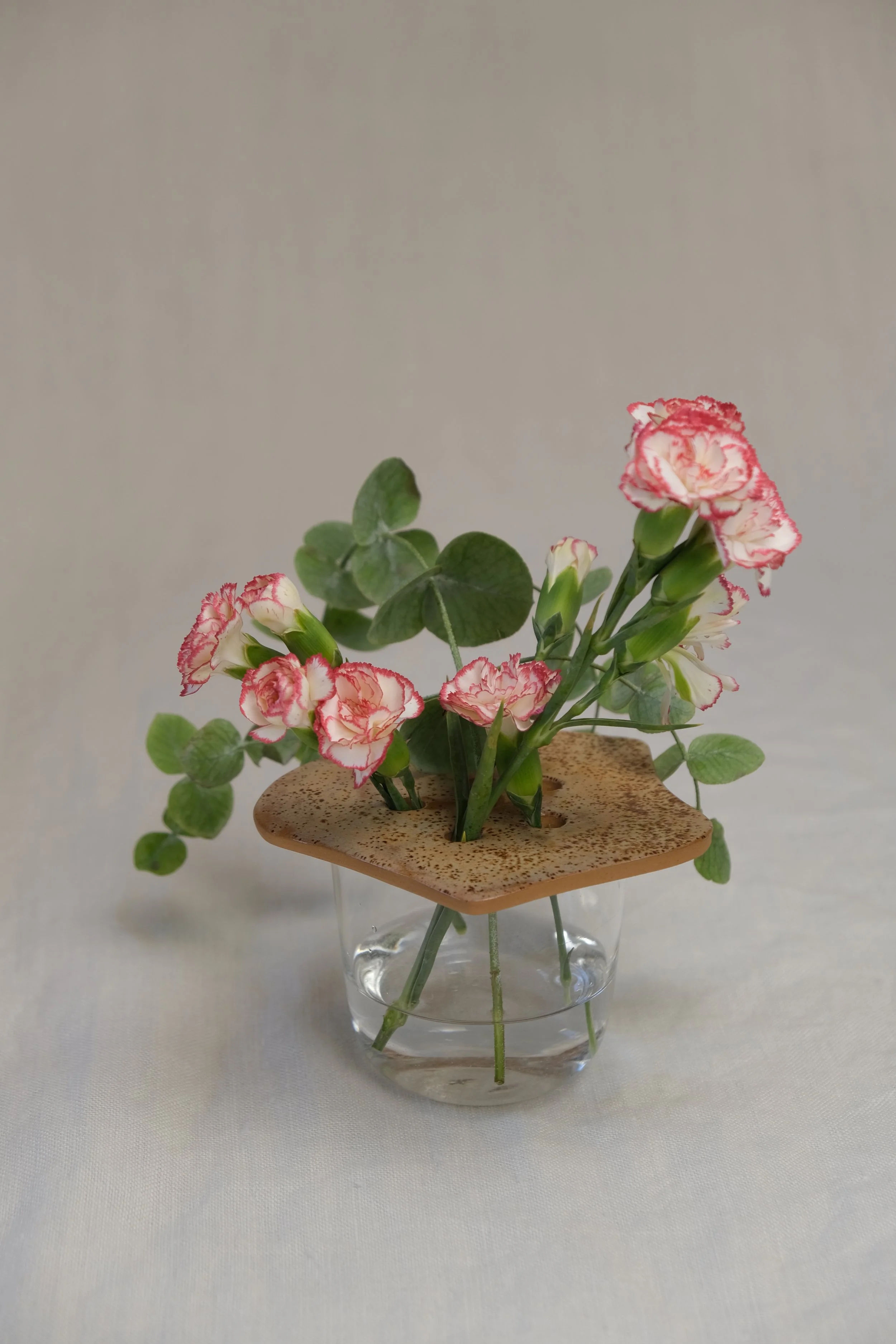 DSCF1164.JPG