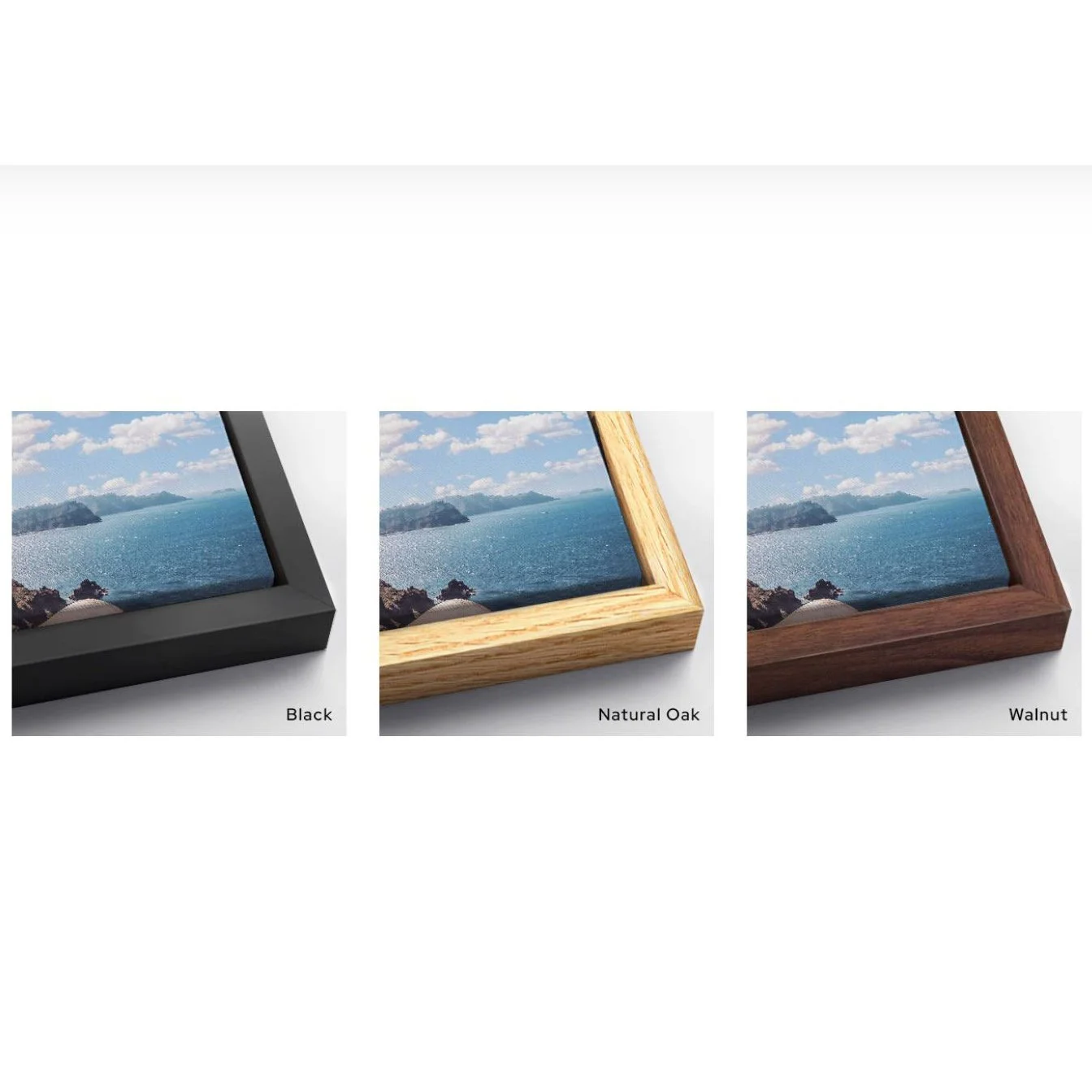 Frames.JPG (Copy)