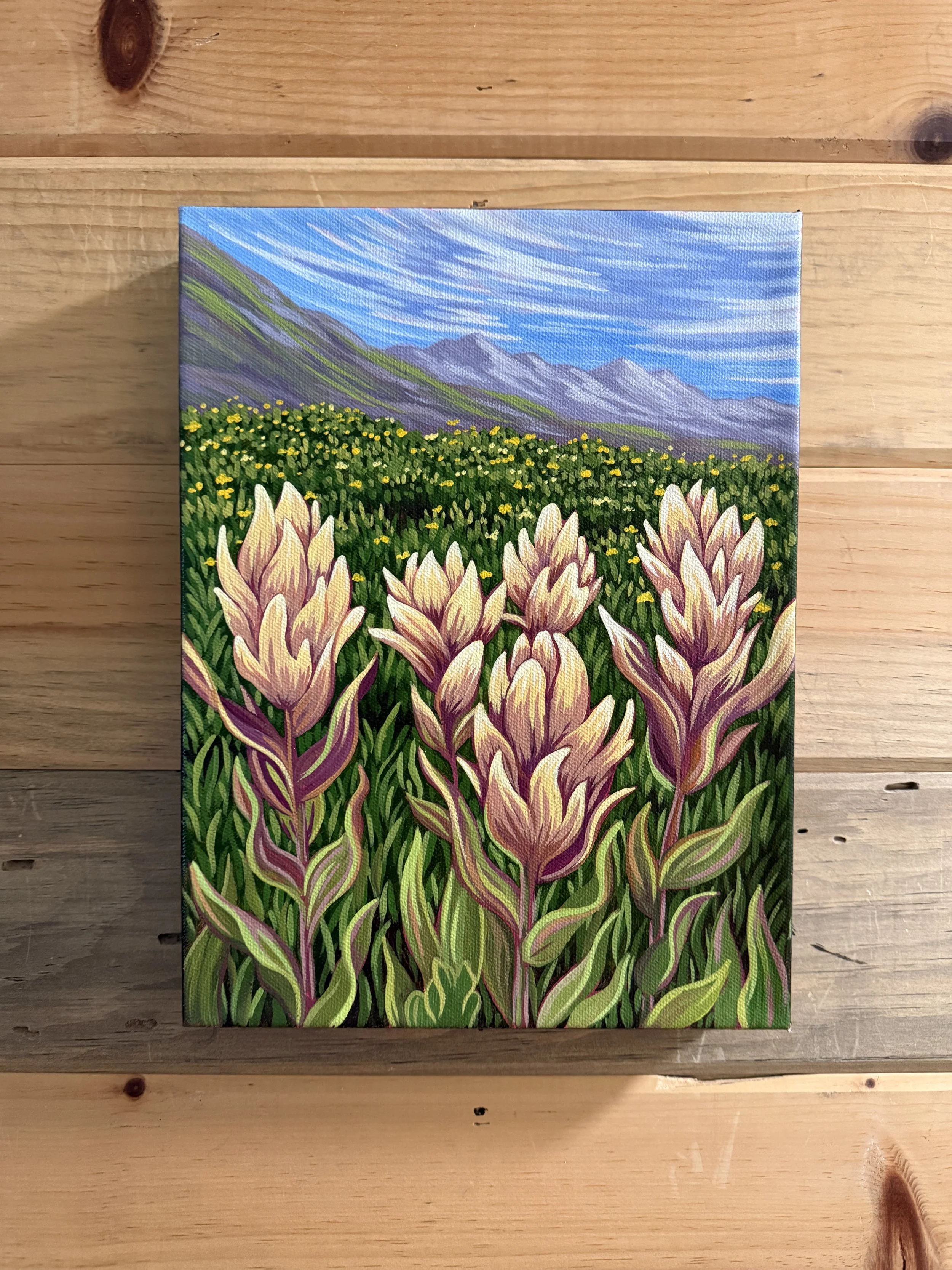 Summer Paintbrush 3 original acrylic painting