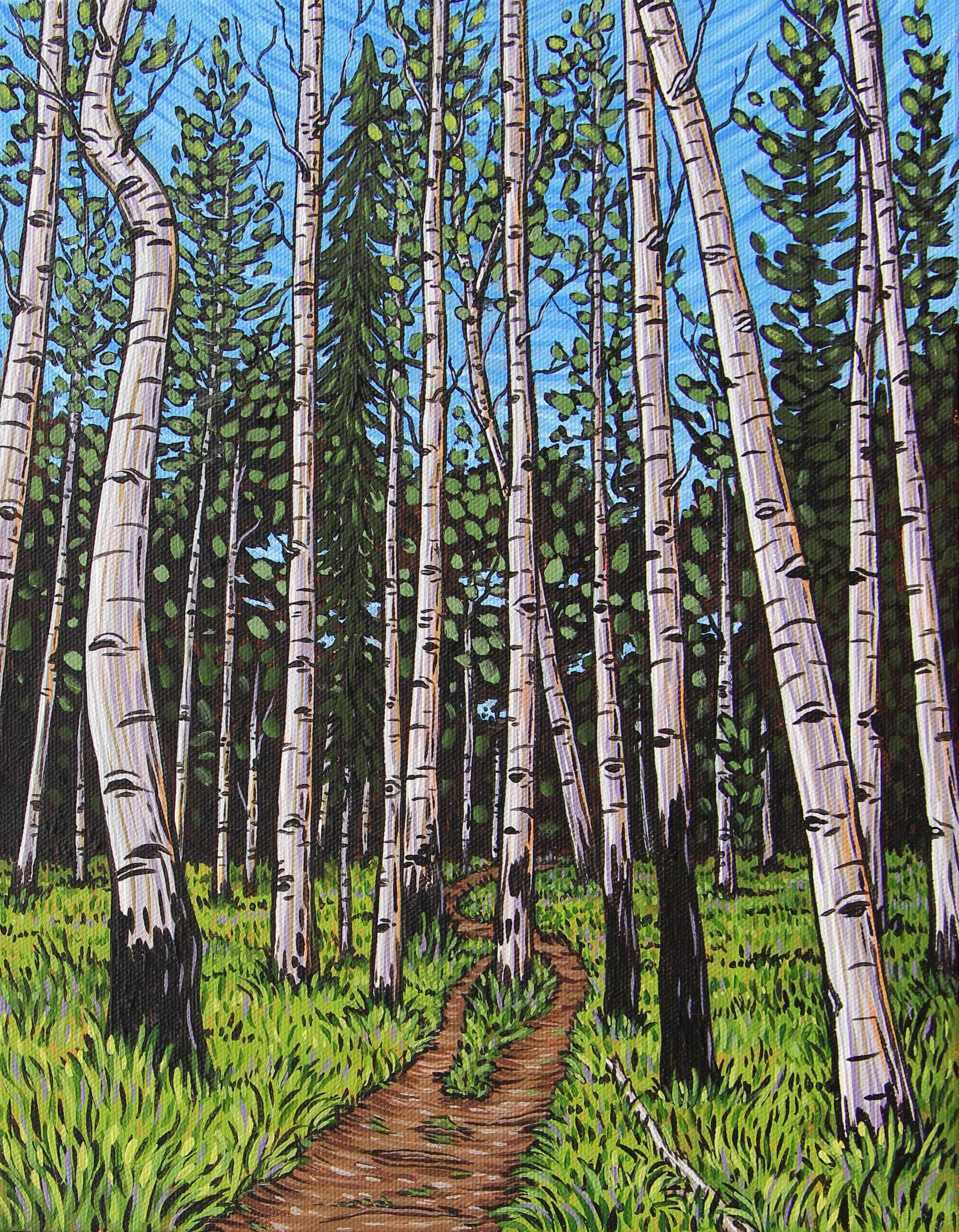 Summer Aspen Grove