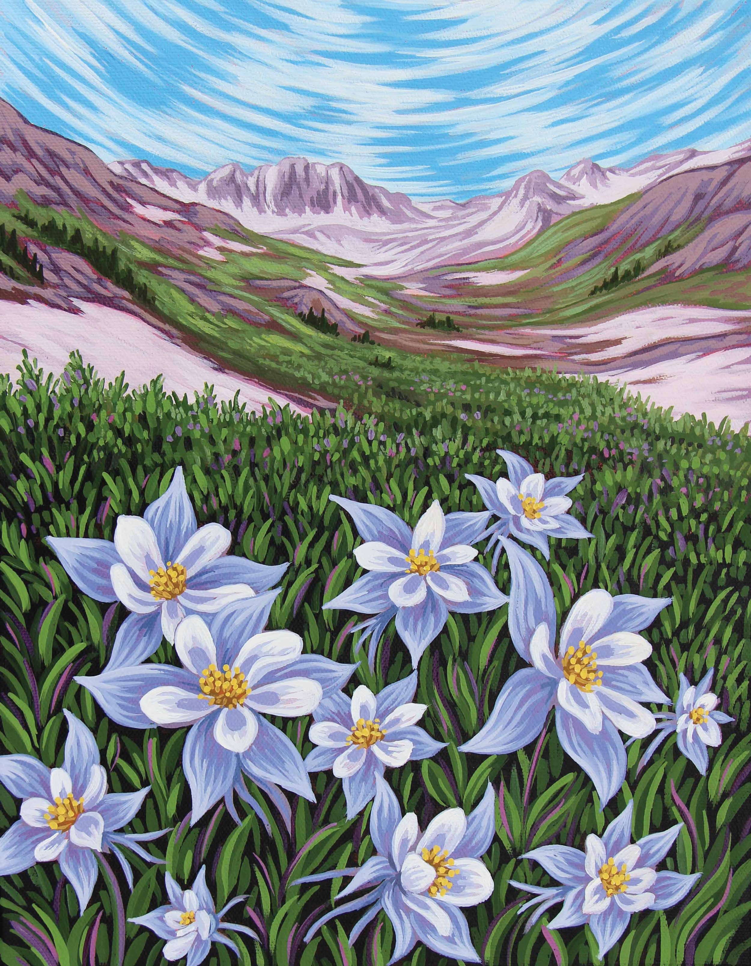 Columbines of Colorado