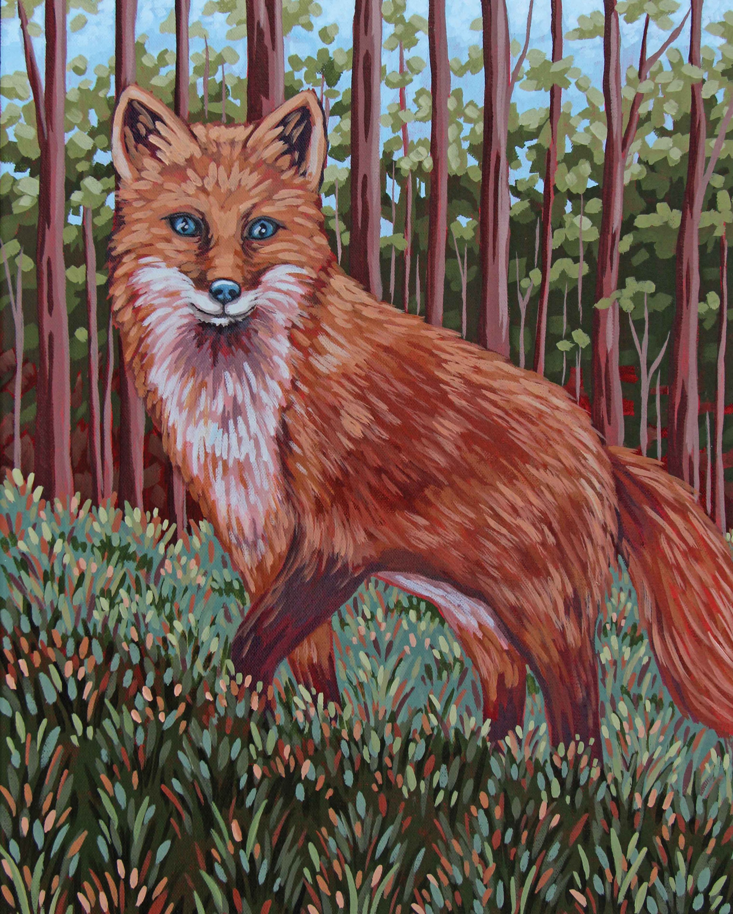 Red Fox
