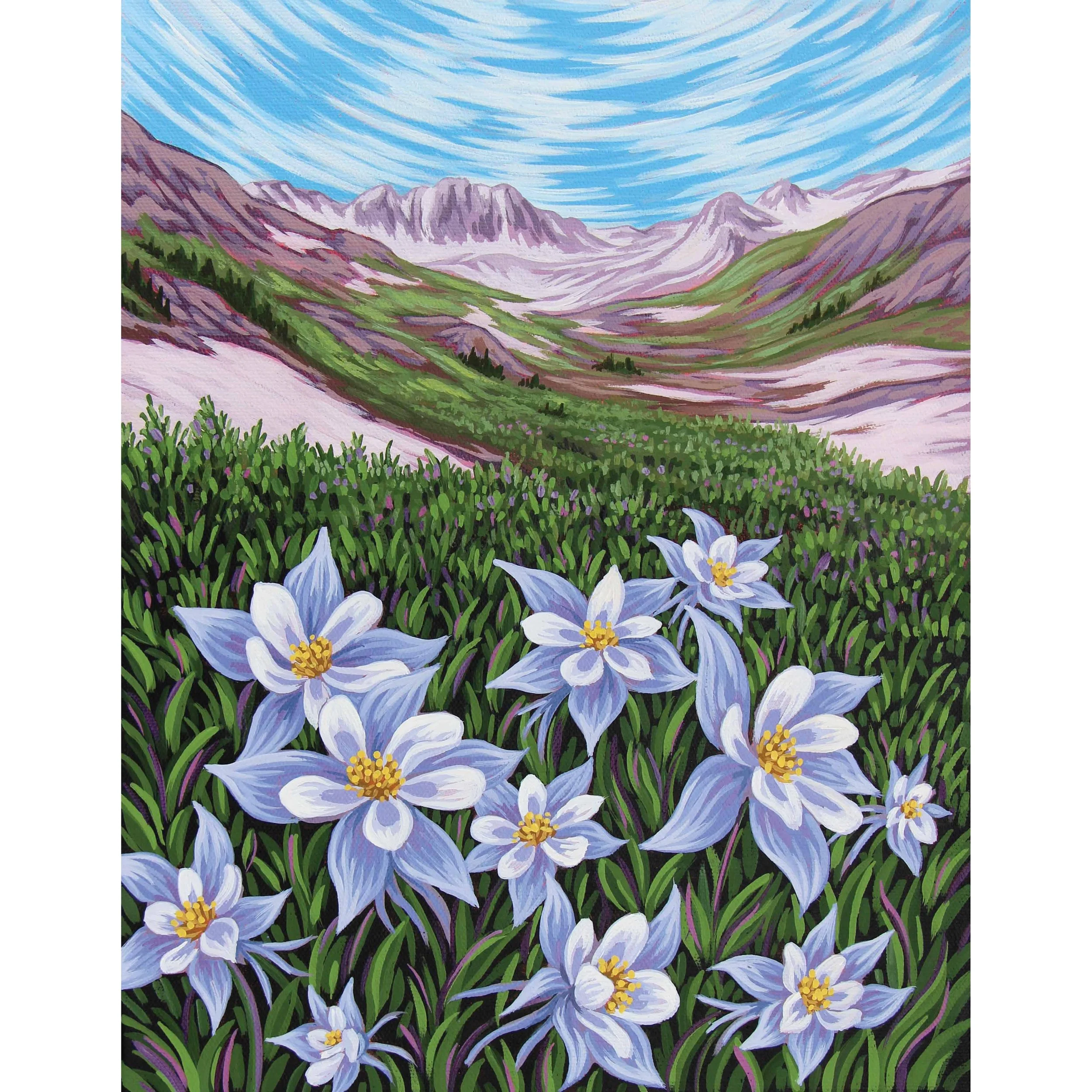 Columbines of Colorado Print