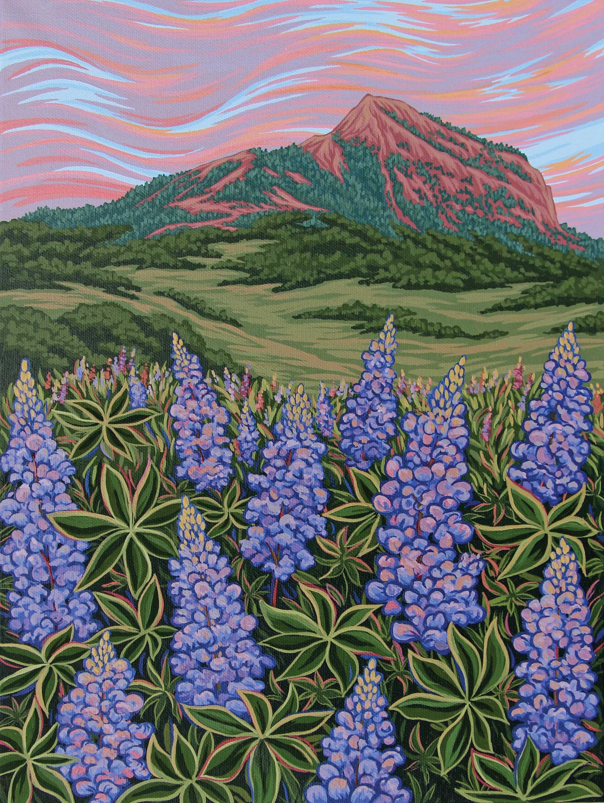 Crested Bute Lupines