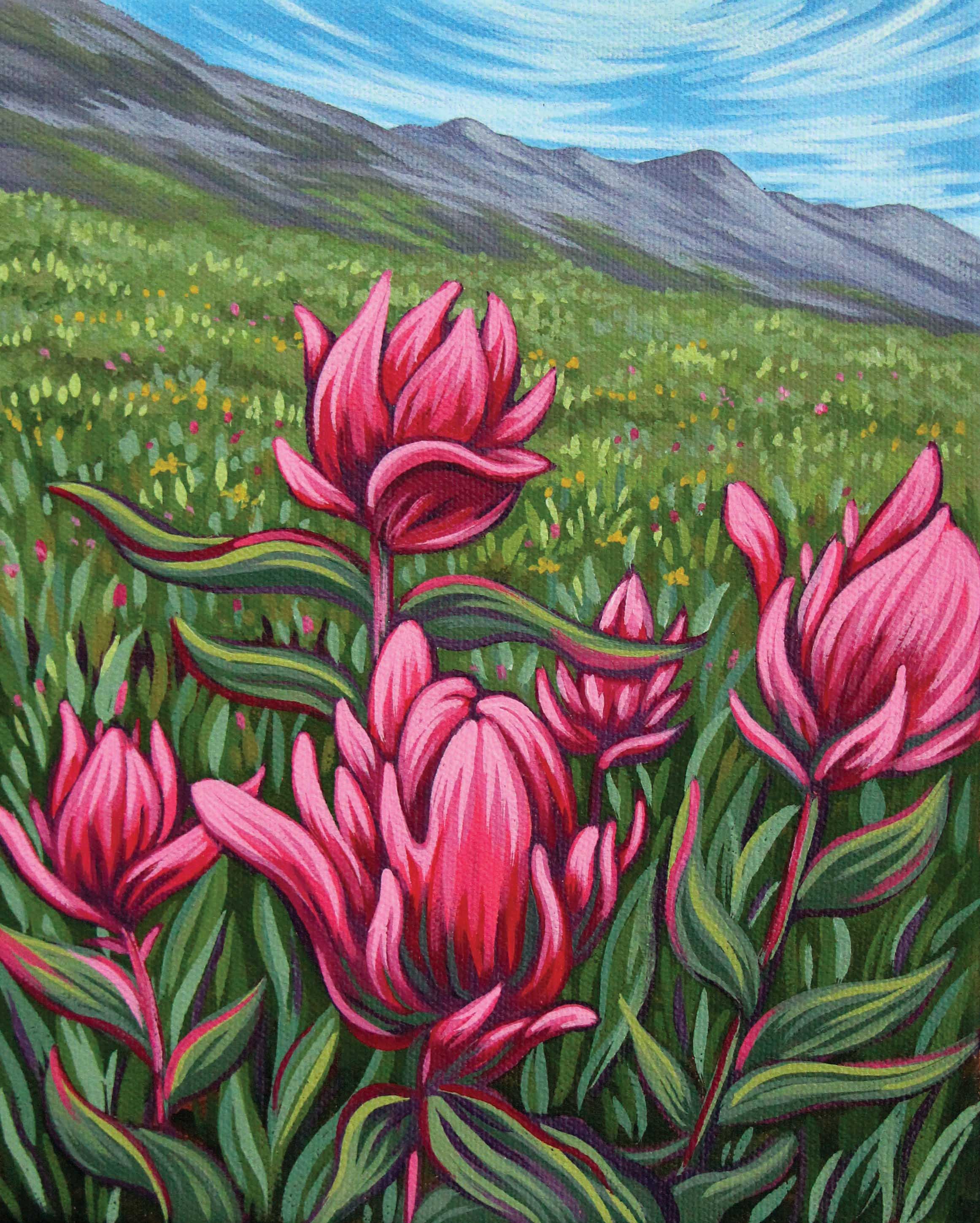 Summer Paintbrush Flowers