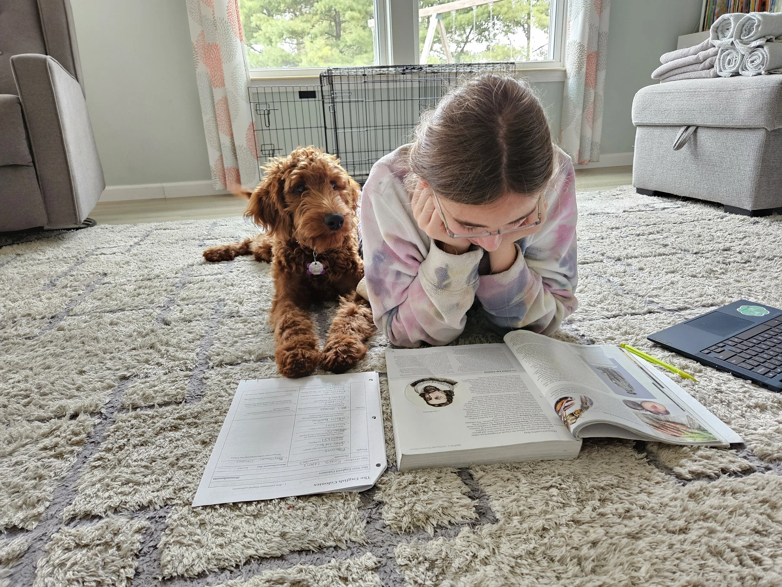 A young woman with glasses lying on her stomach on a beige carpet, reading a book with a small black and white illustration, and her head supported by her hands, with a fluffy brown dog lying next to her. The dog has a collar with a purple tag. In the background, there are windows with quilted curtains, a gray chair, and some rolled towels on a gray ottoman.
