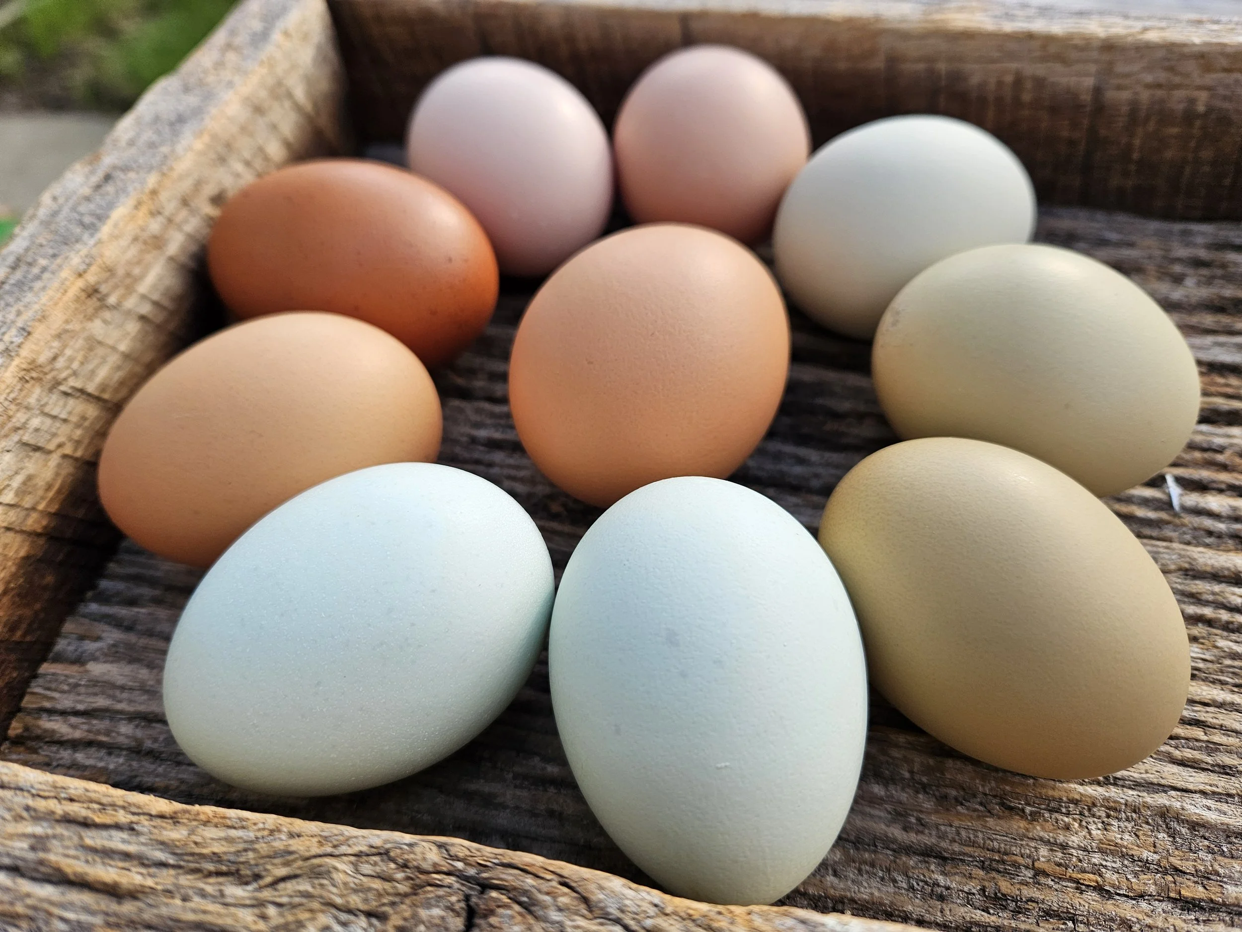 A variety of colorful eggs arranged on a wooden surface in a rustic wooden tray.