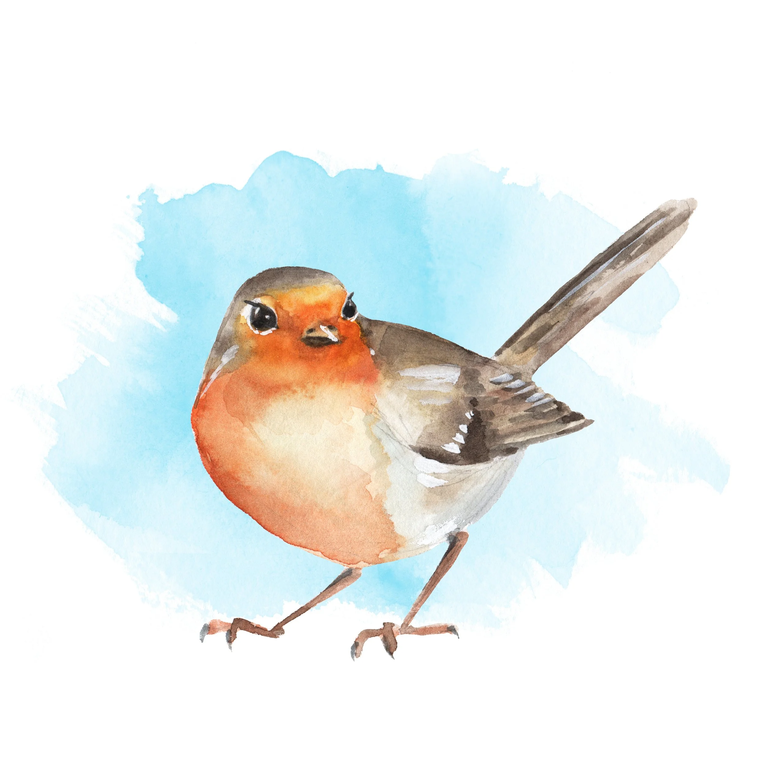 Birds in Bloom Watercolor  Workshop 
