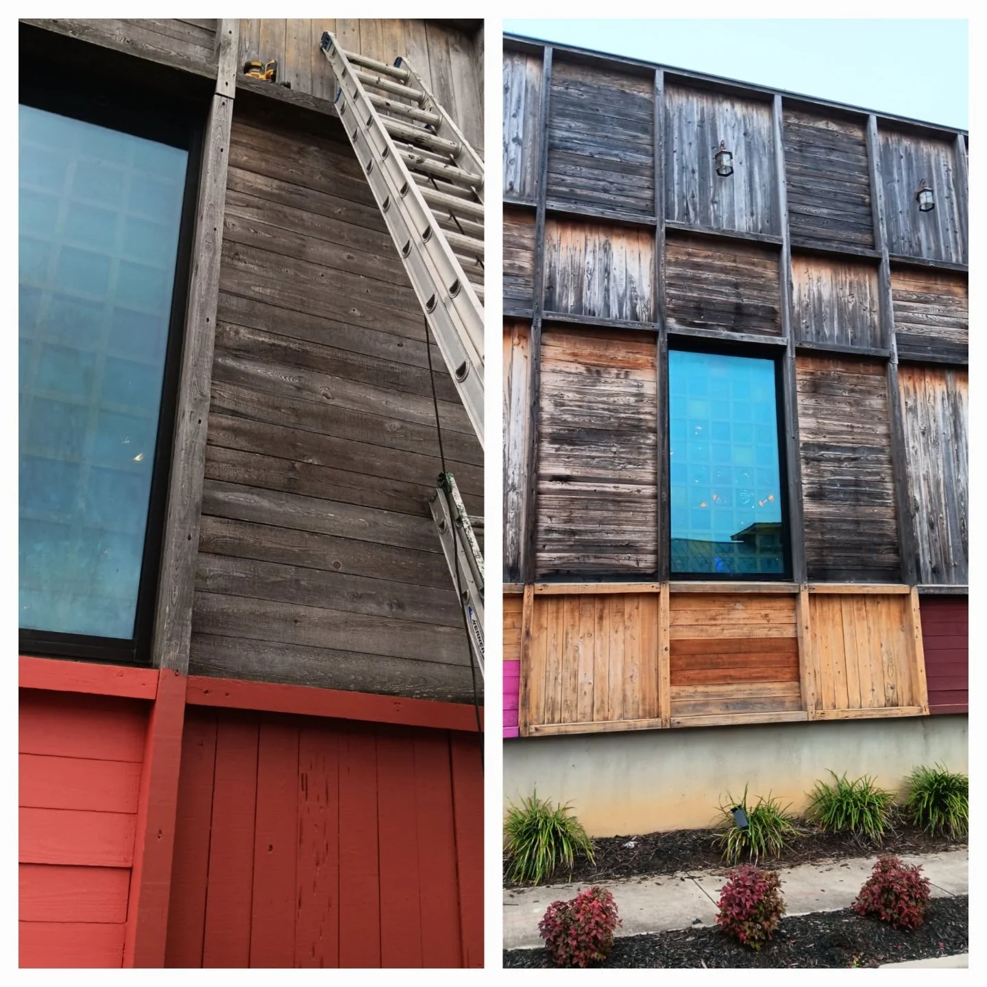 Side-by-side comparison of building exterior with weathered wooden siding; left shows a section with a red lower panel, a large window, and a ladder leaning against the wall, while right displays a similar structure with different weathered wood panels, some newly installed, and small bushes at the base.