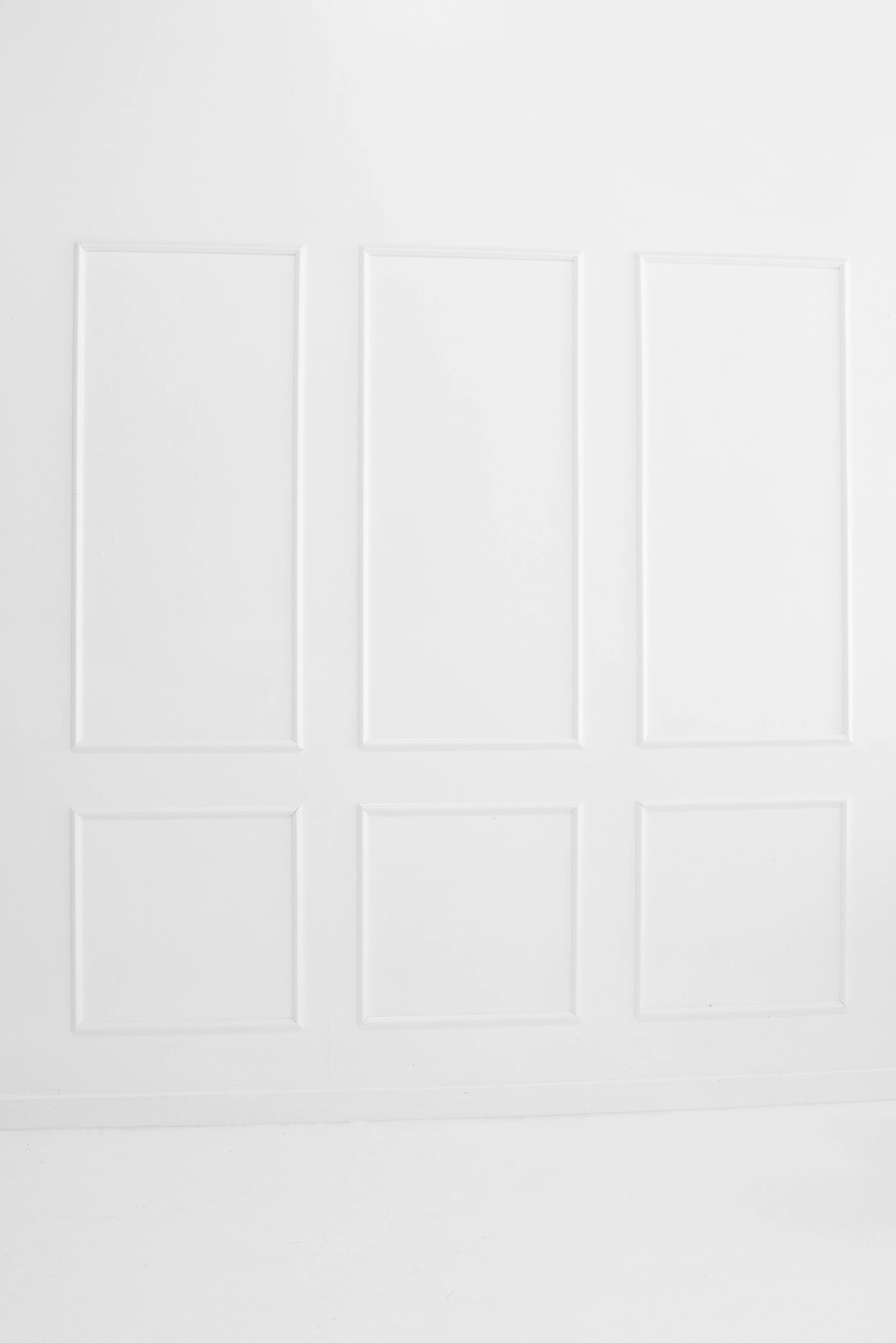 Plain white wall with decorative rectangular wall panels.