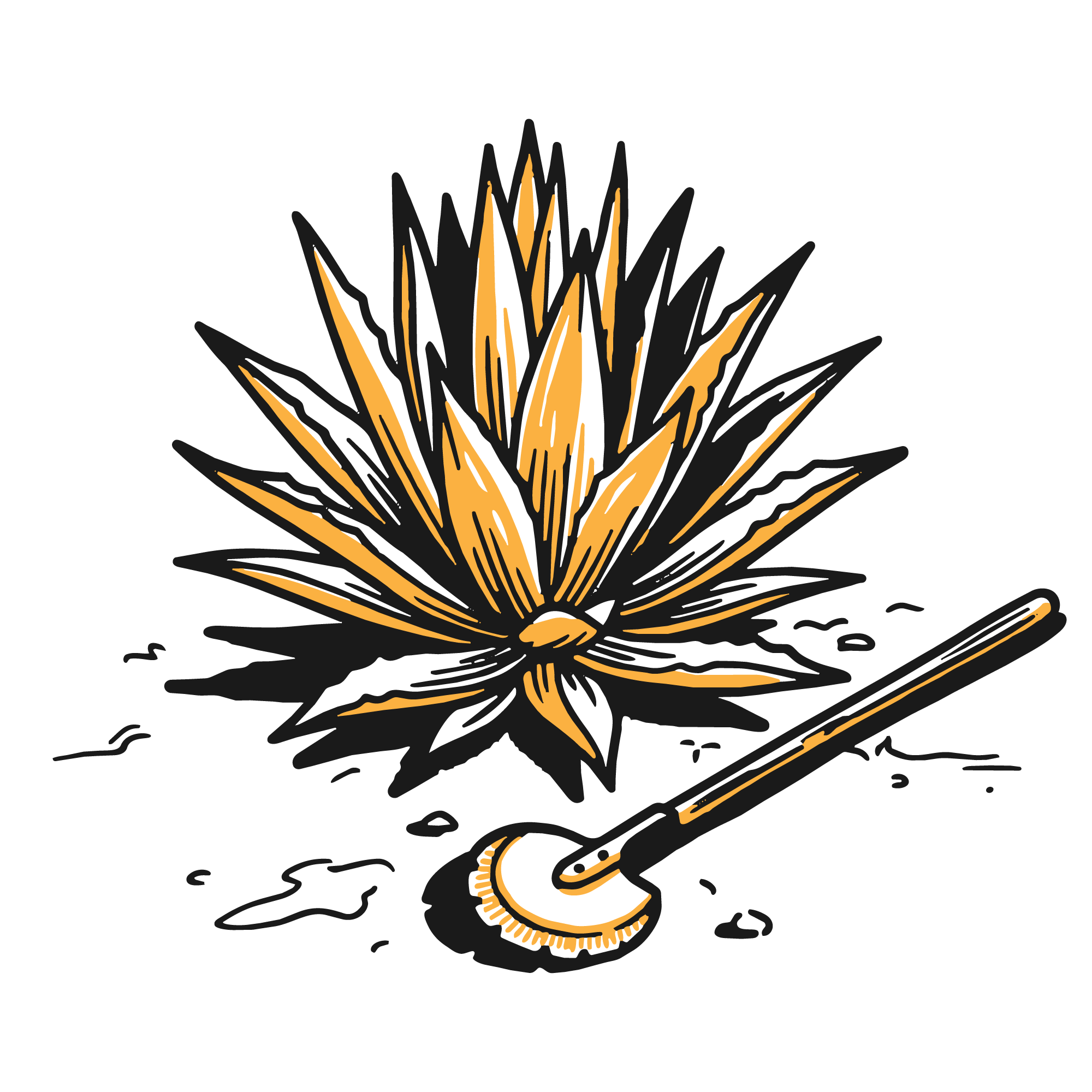Illustration of an agave plant.