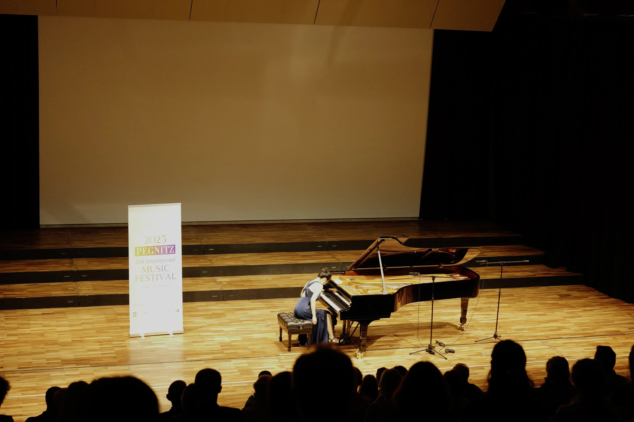 Pegnitzmusikfestival 2025