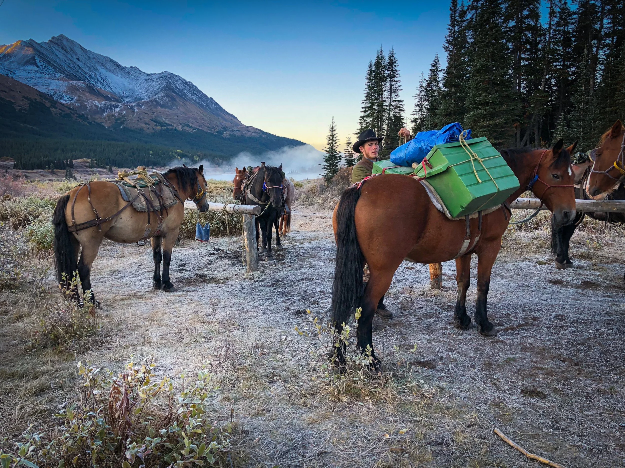 Horse packing Fall.jpg