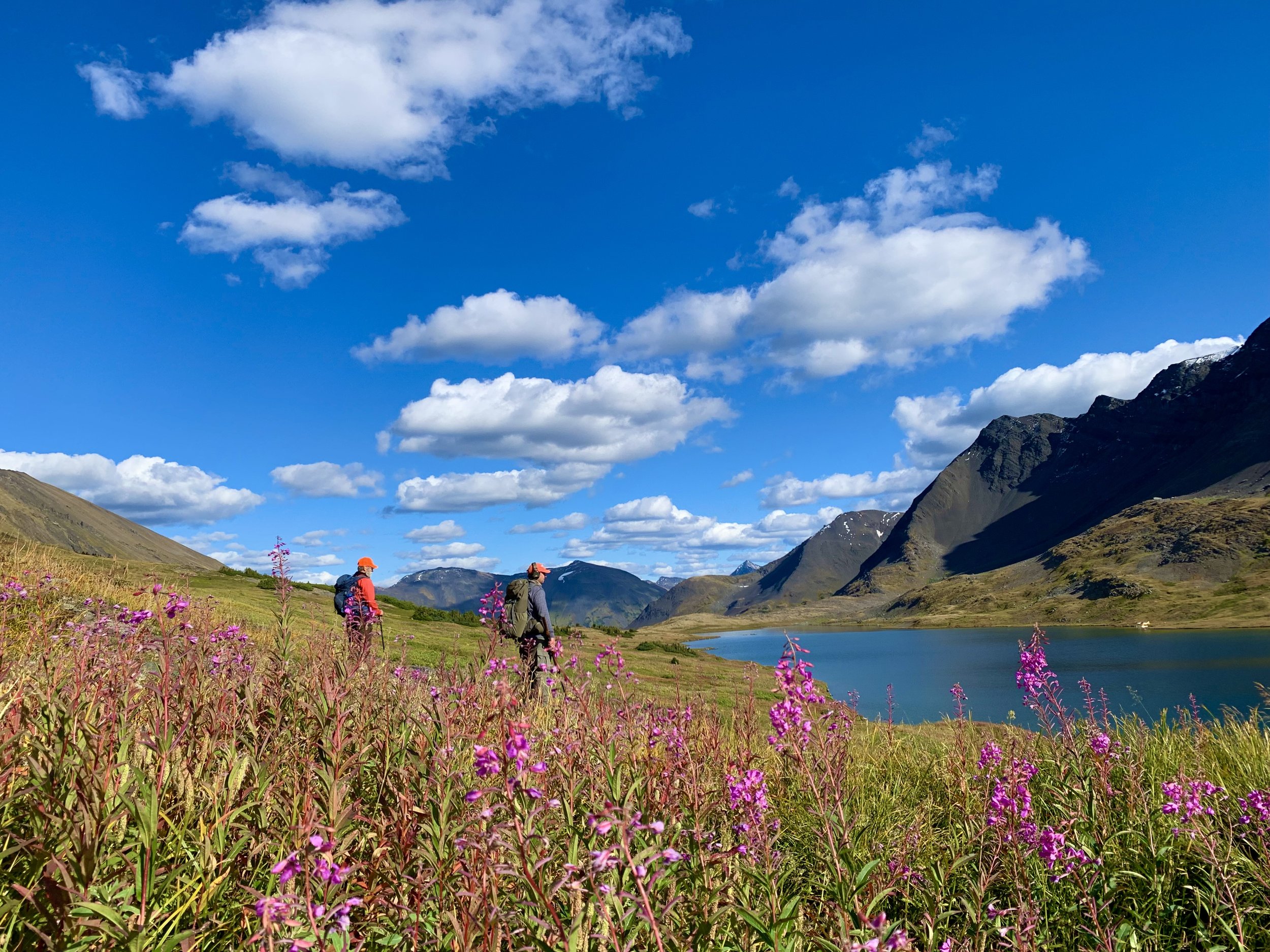 Mountain scenary.jpg