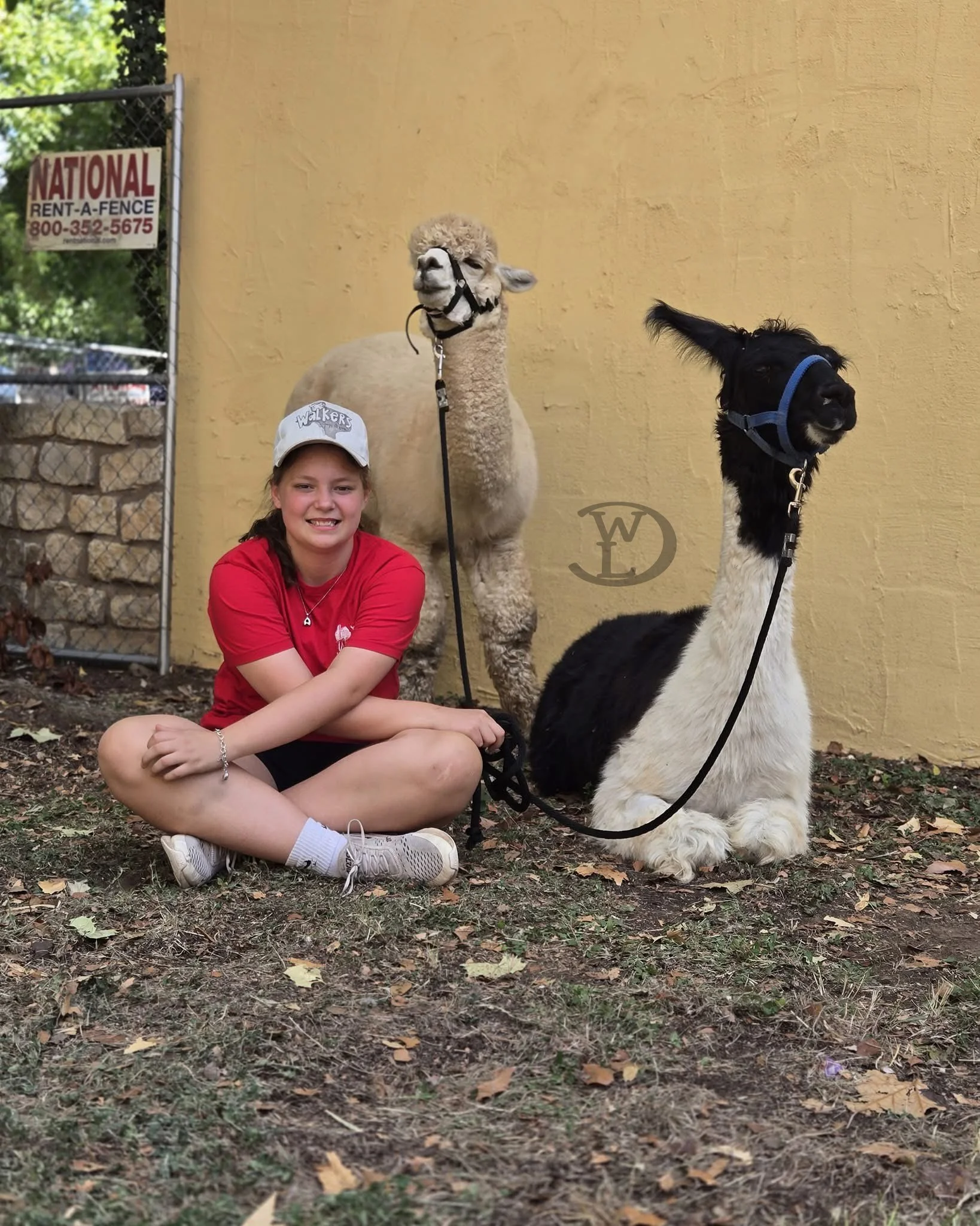 Crazy Water Festival 2025