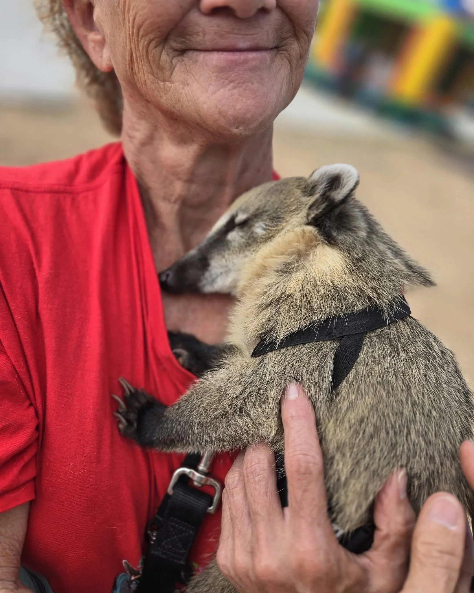 An elderly woman is holding a sleeping puppy close to her face, with the puppy resting its head on her shoulder.
