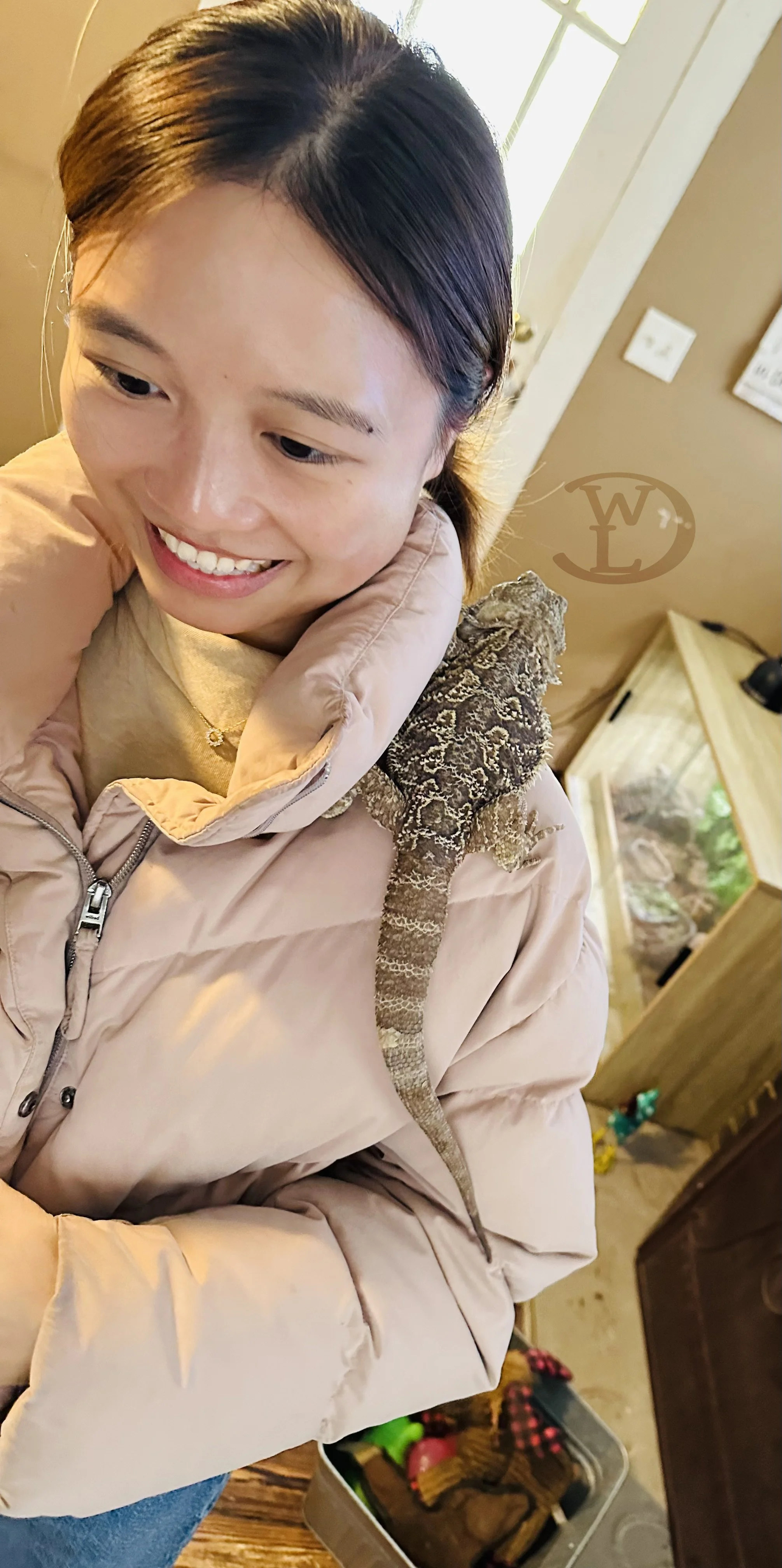 Critter Spotlight 2026 Bearded Dragon