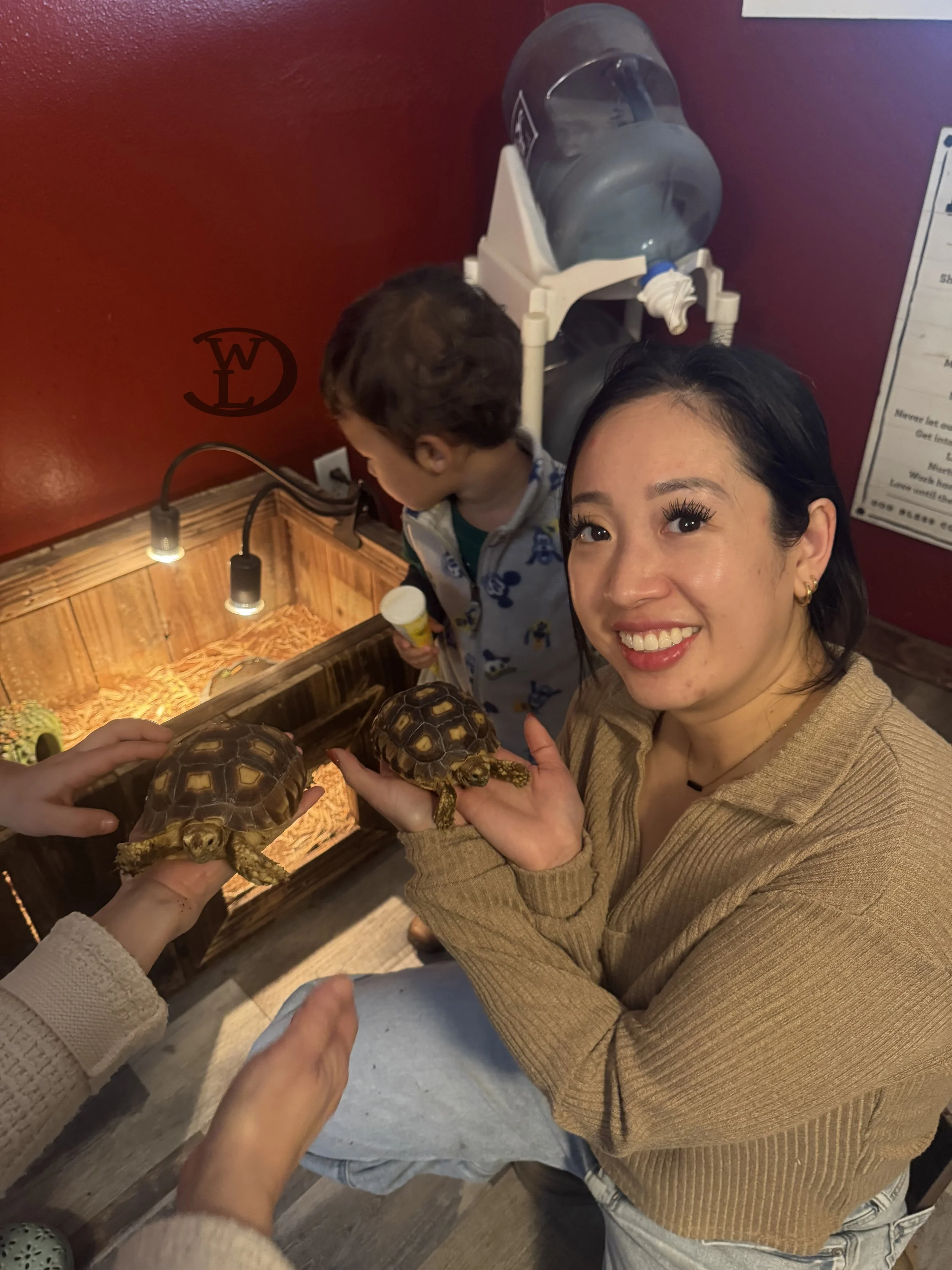 Critter Spotlight 2026 Tortoises