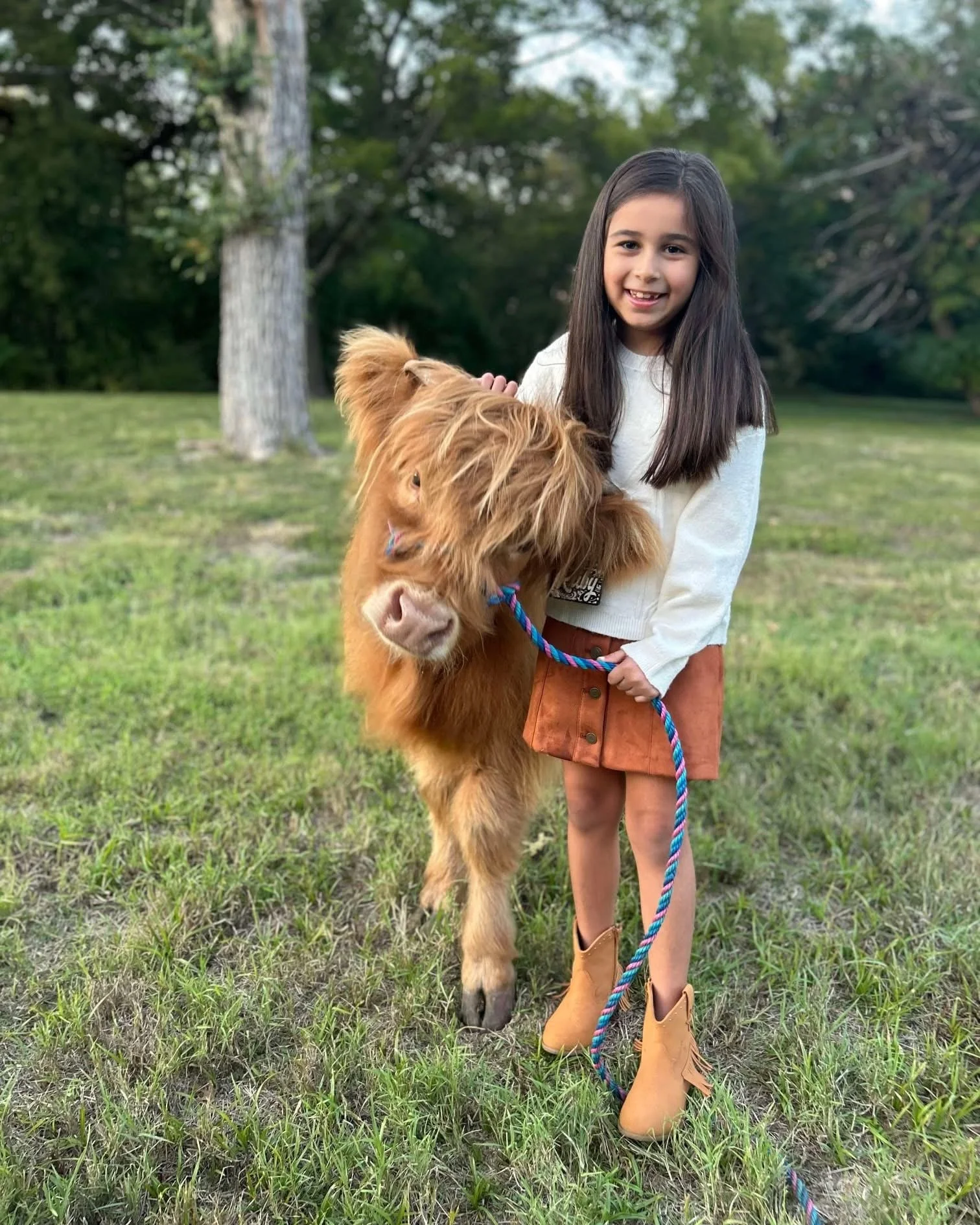 A young girl with long dark hair, smiling, standing on a grassy field holding a small brown cow on a colorful rope leash.