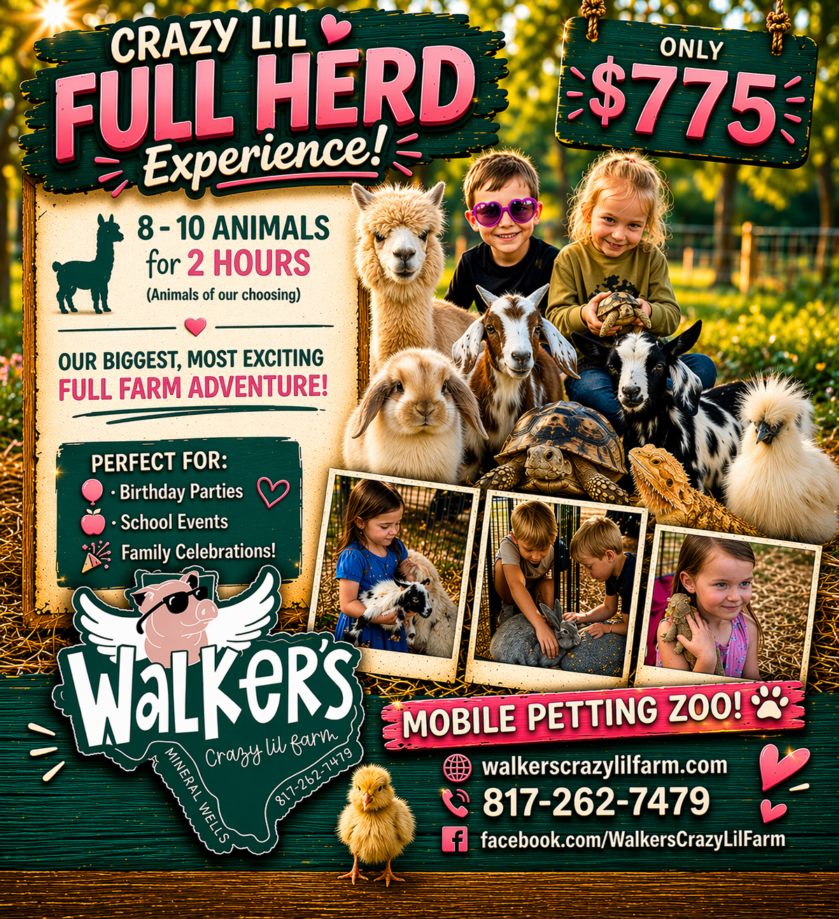 Crazy Lil Full Herd Experience