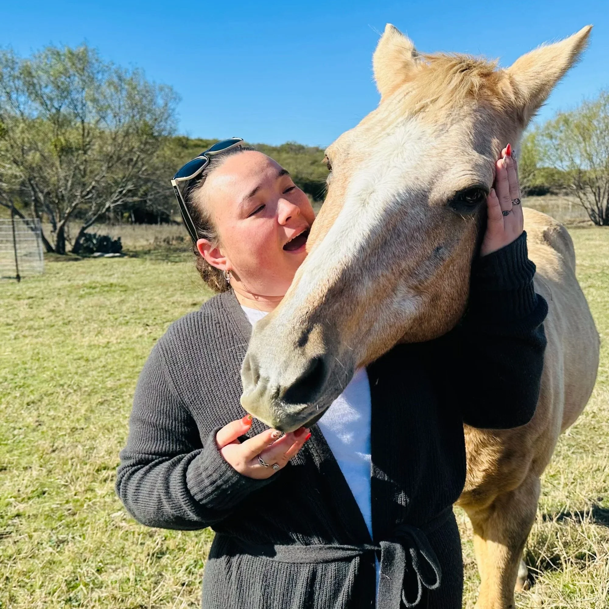 A woman with sunglasses on her head is hugging and kissing a light-colored horse outdoors on a sunny day.