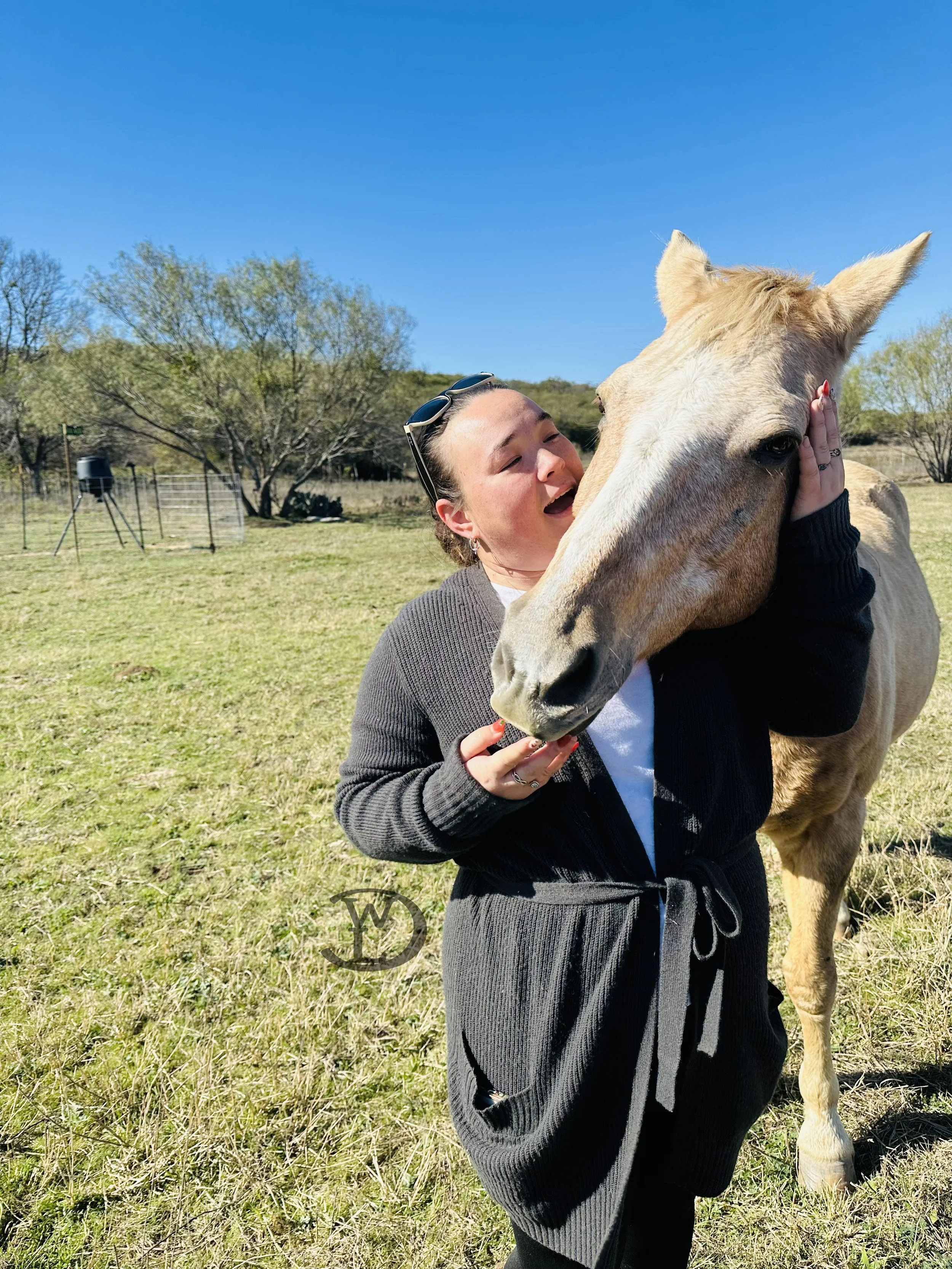 Nature Visit 2025 Meet and Greet Rowdy the Horse