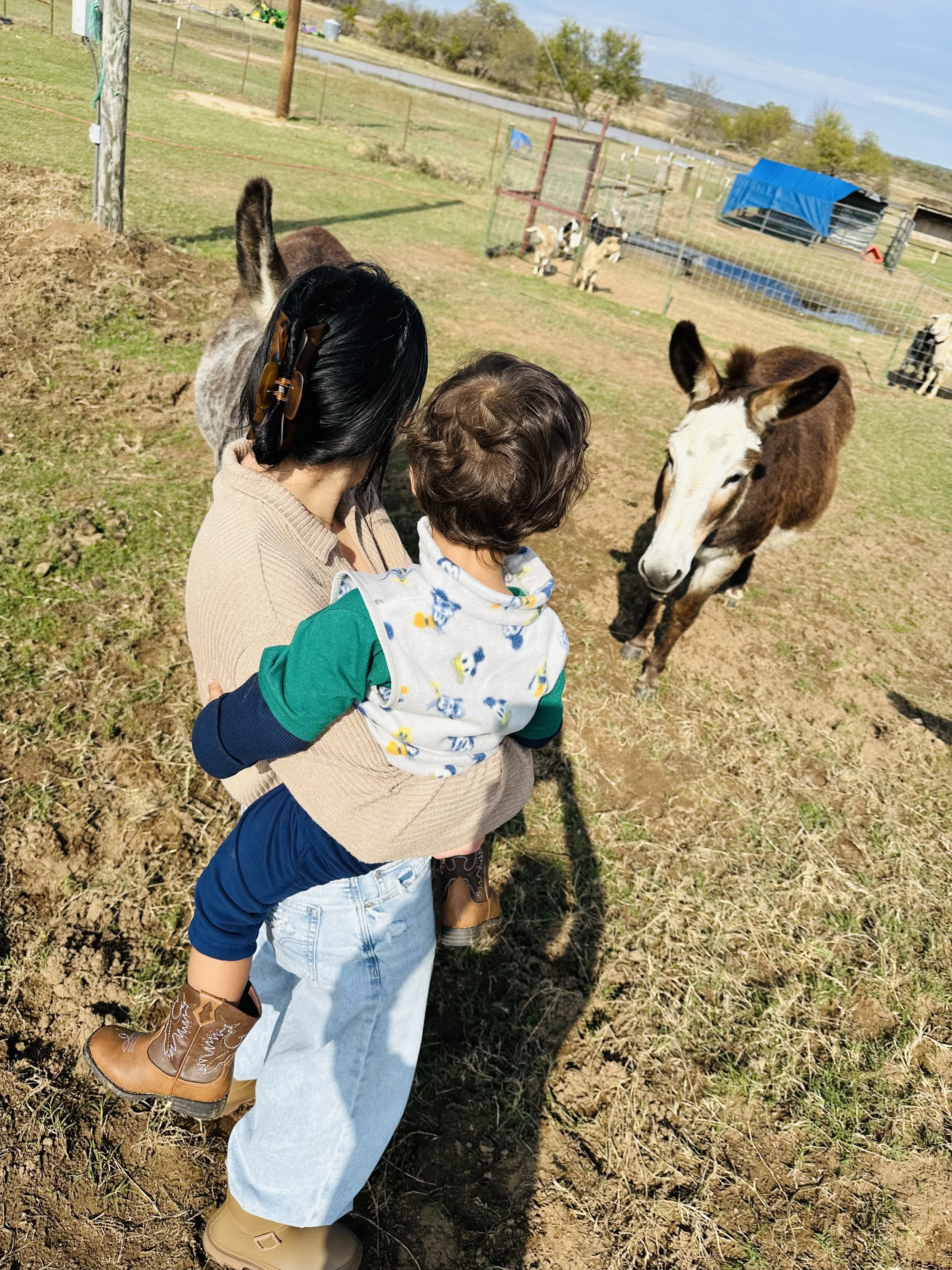 Woman holding a young child on her hip, looking at a brown and white donkey in a farm setting.