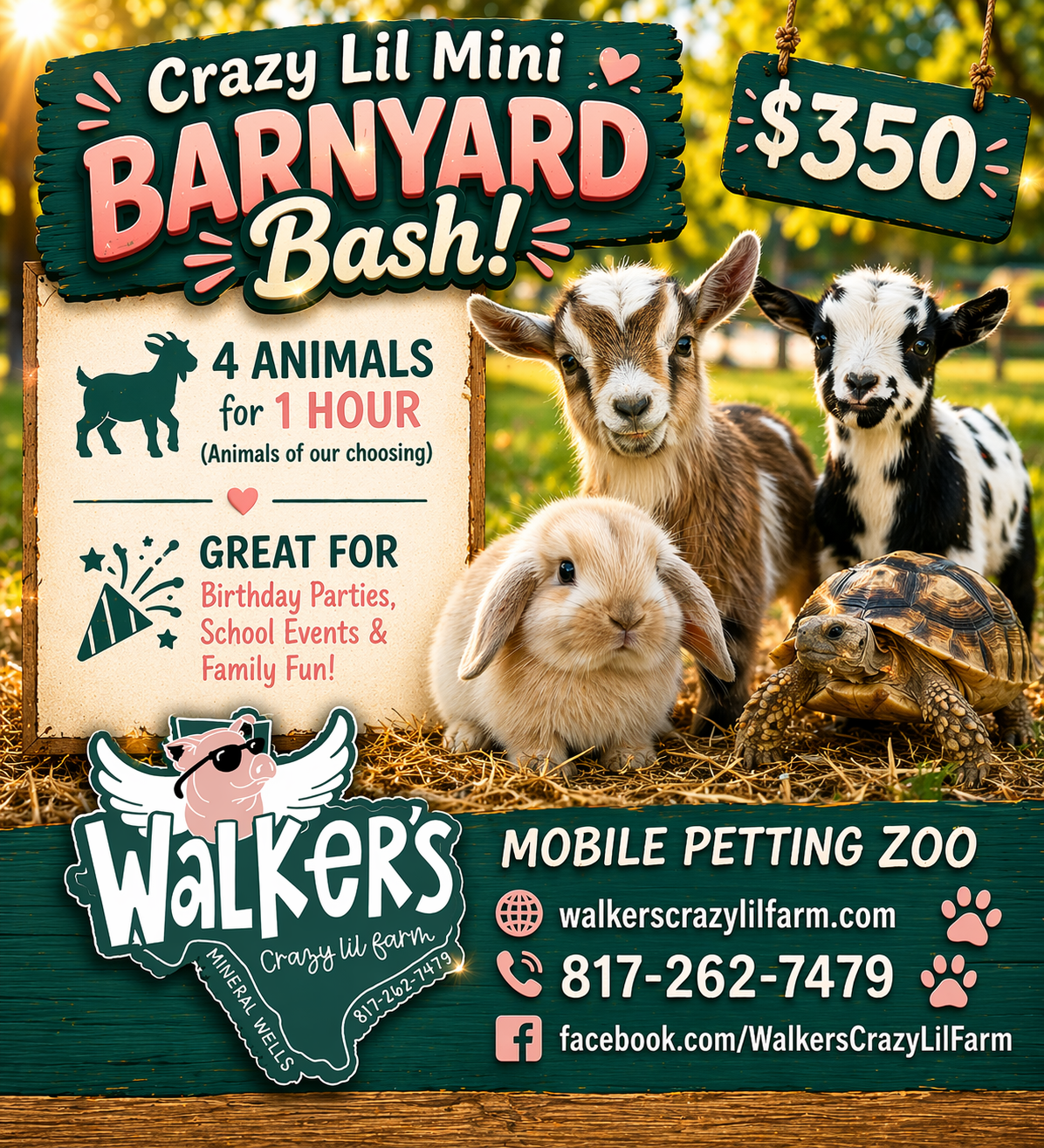 Crazy Lil Mini Barnyard Bash