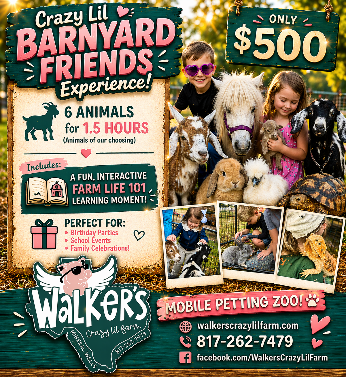 Crazy Lil Barnyard Friends Experience