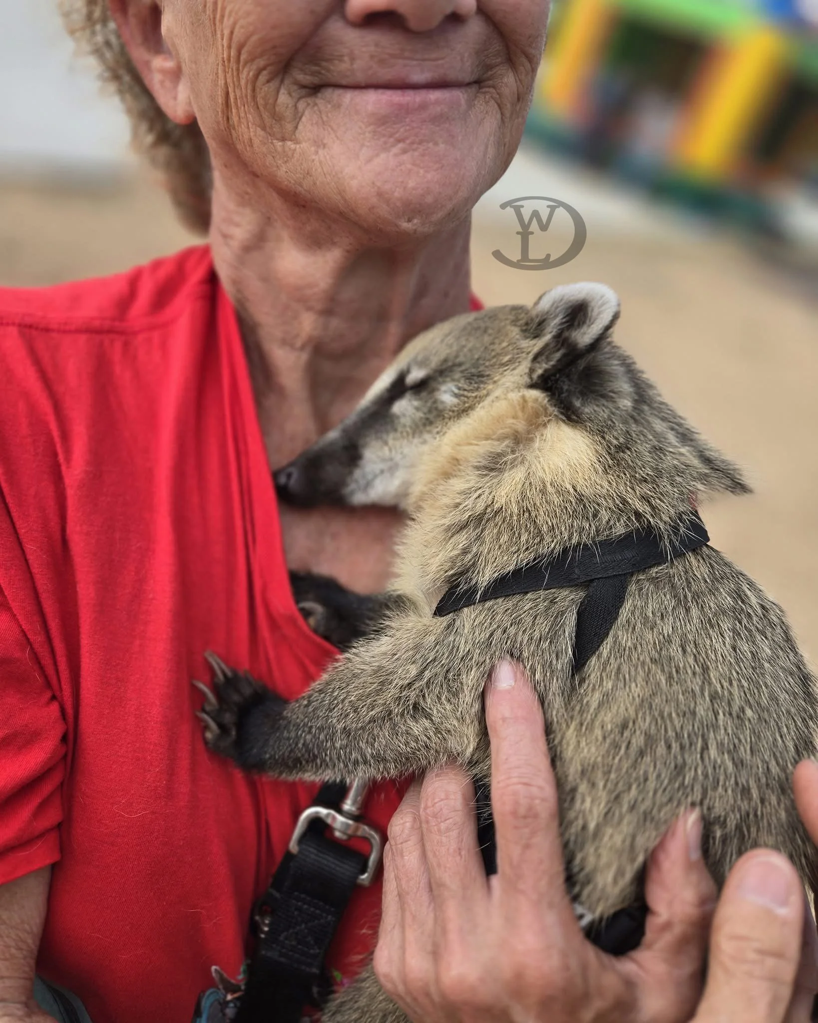 Susan and Rocket Coatimundi
