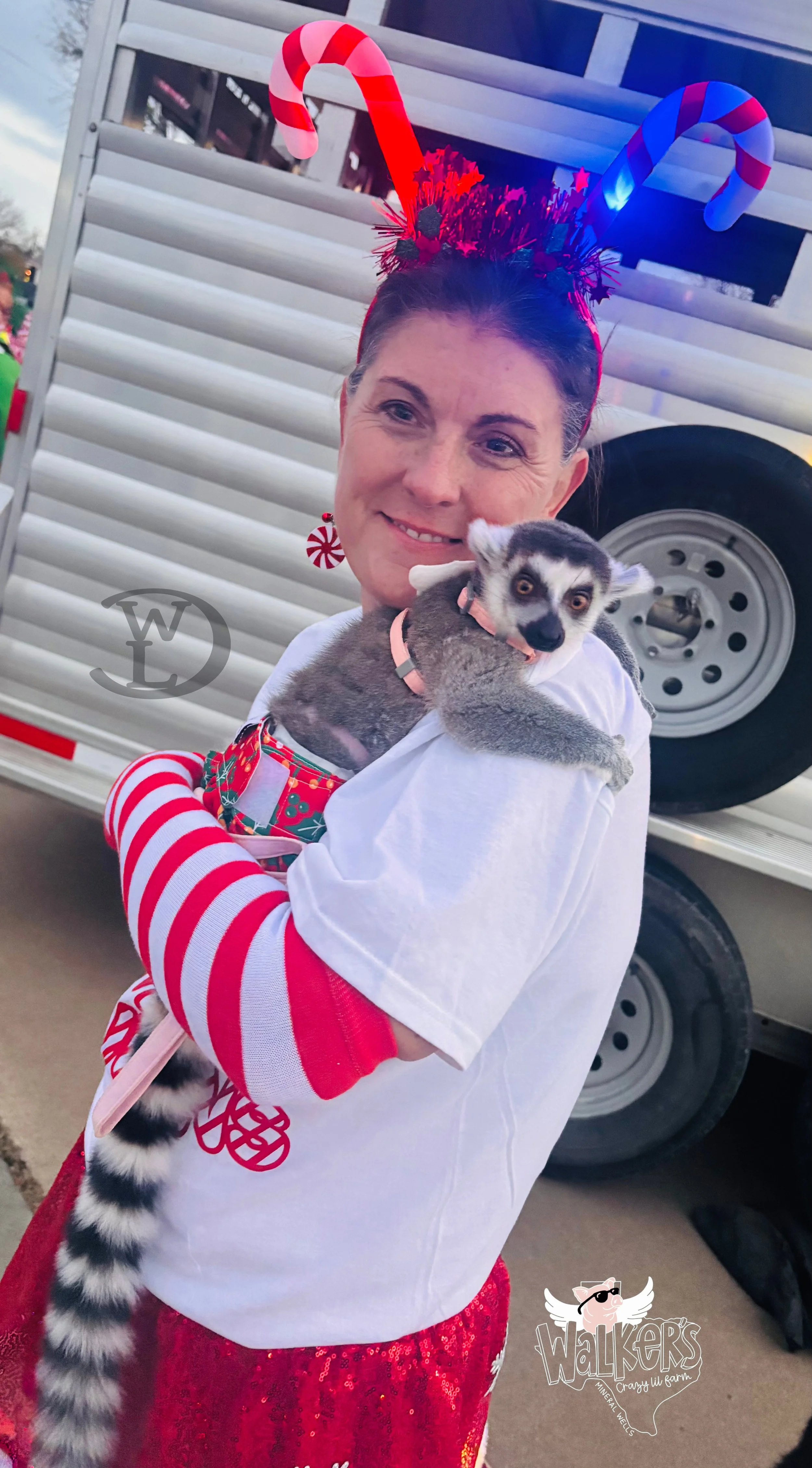 Merry Wells Parade 2025 Julian and Dusty