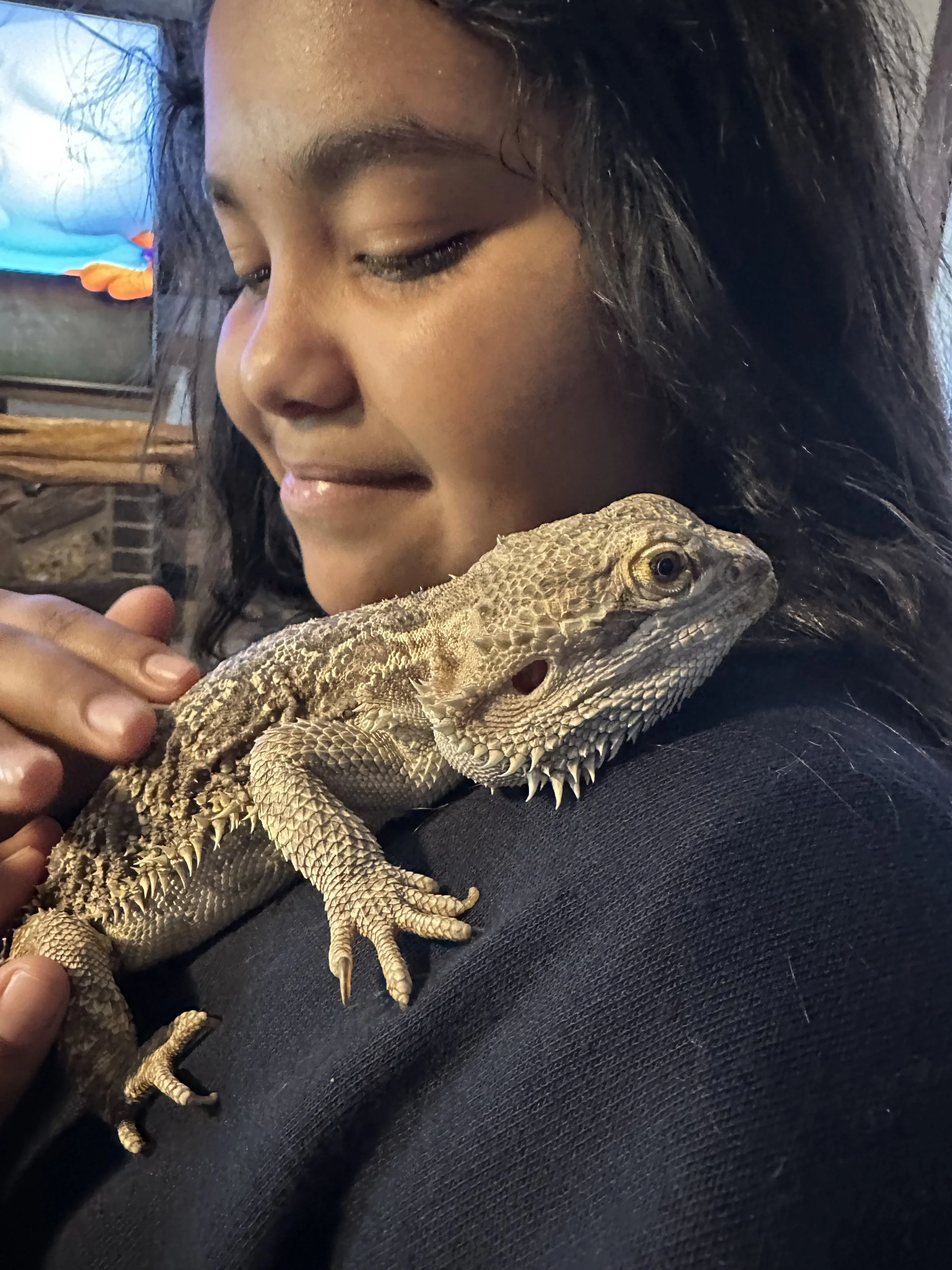 A young girl with dark, curly hair and a black shirt holding an iguana on her shoulder, with her eyes closed and a gentle smile.