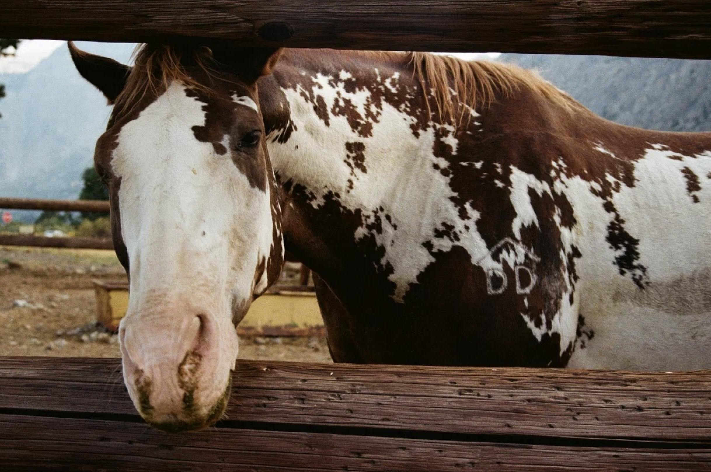 Screenshot 2026-01-26 at 8.19.47 PM.png