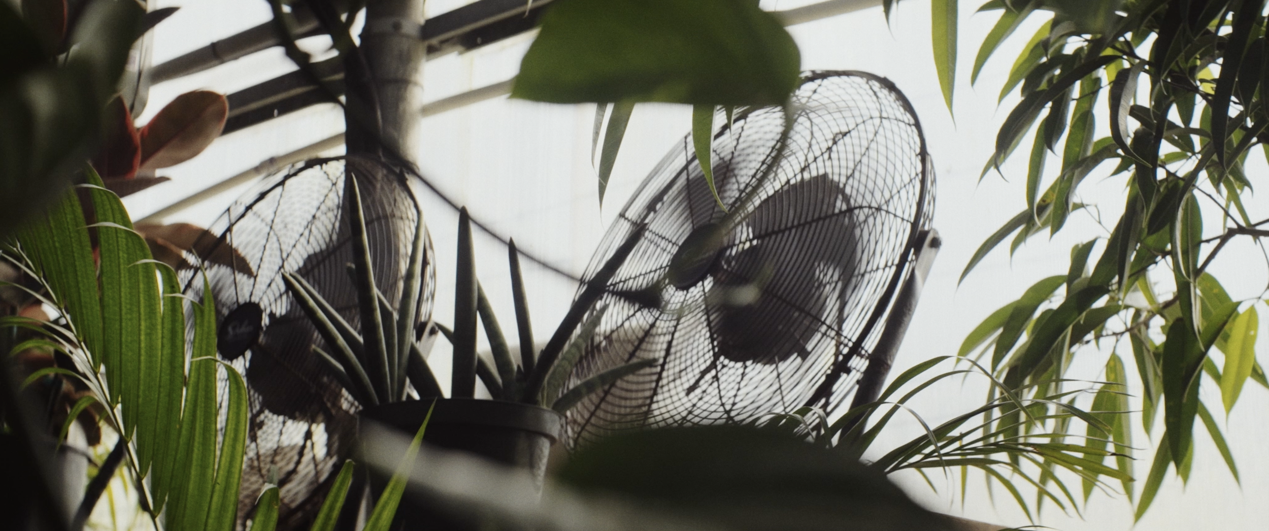 Screenshot 2026-01-27 at 12.46.15 AM.png