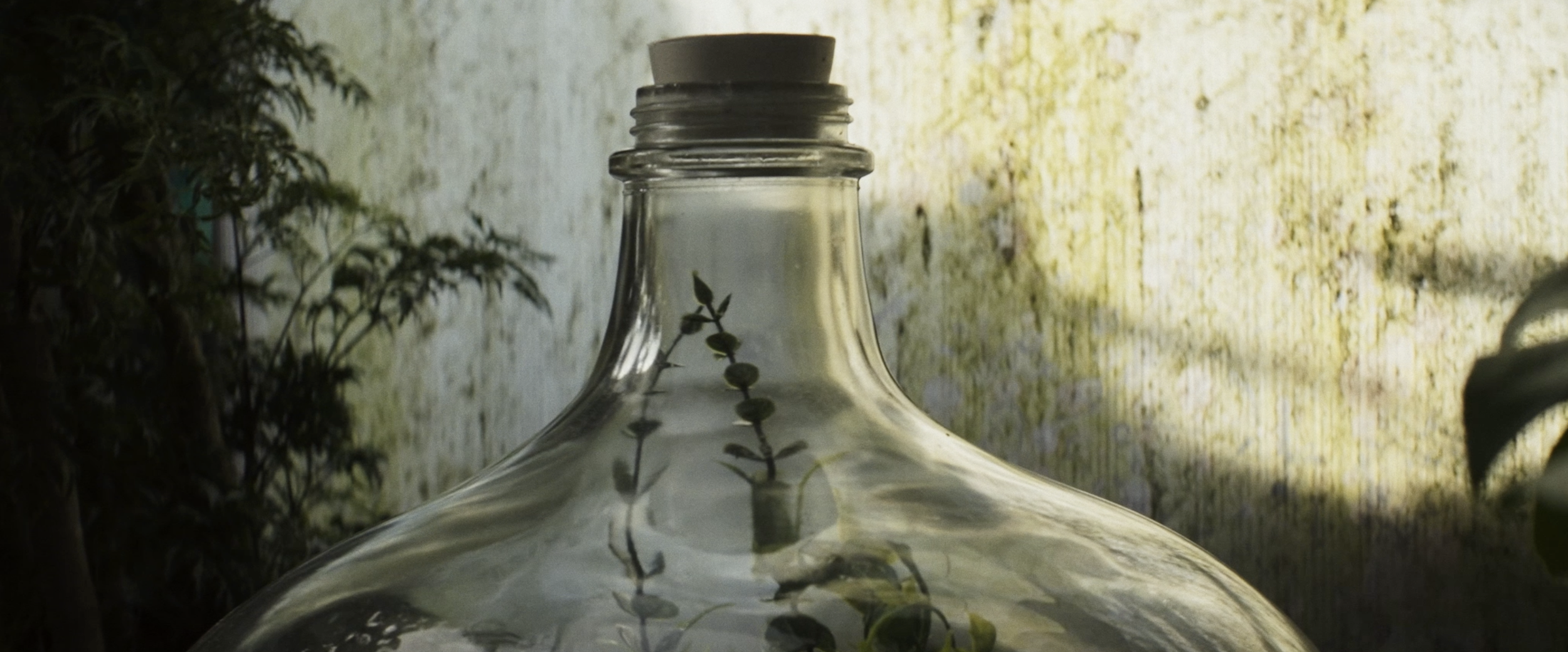 Screenshot 2026-01-27 at 12.47.43 AM.png