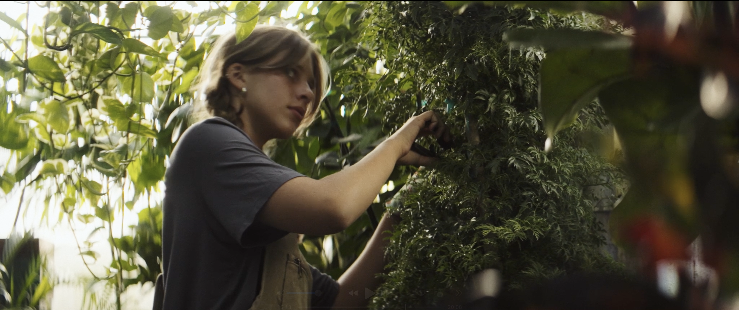 Screenshot 2026-01-27 at 12.46.36 AM.png