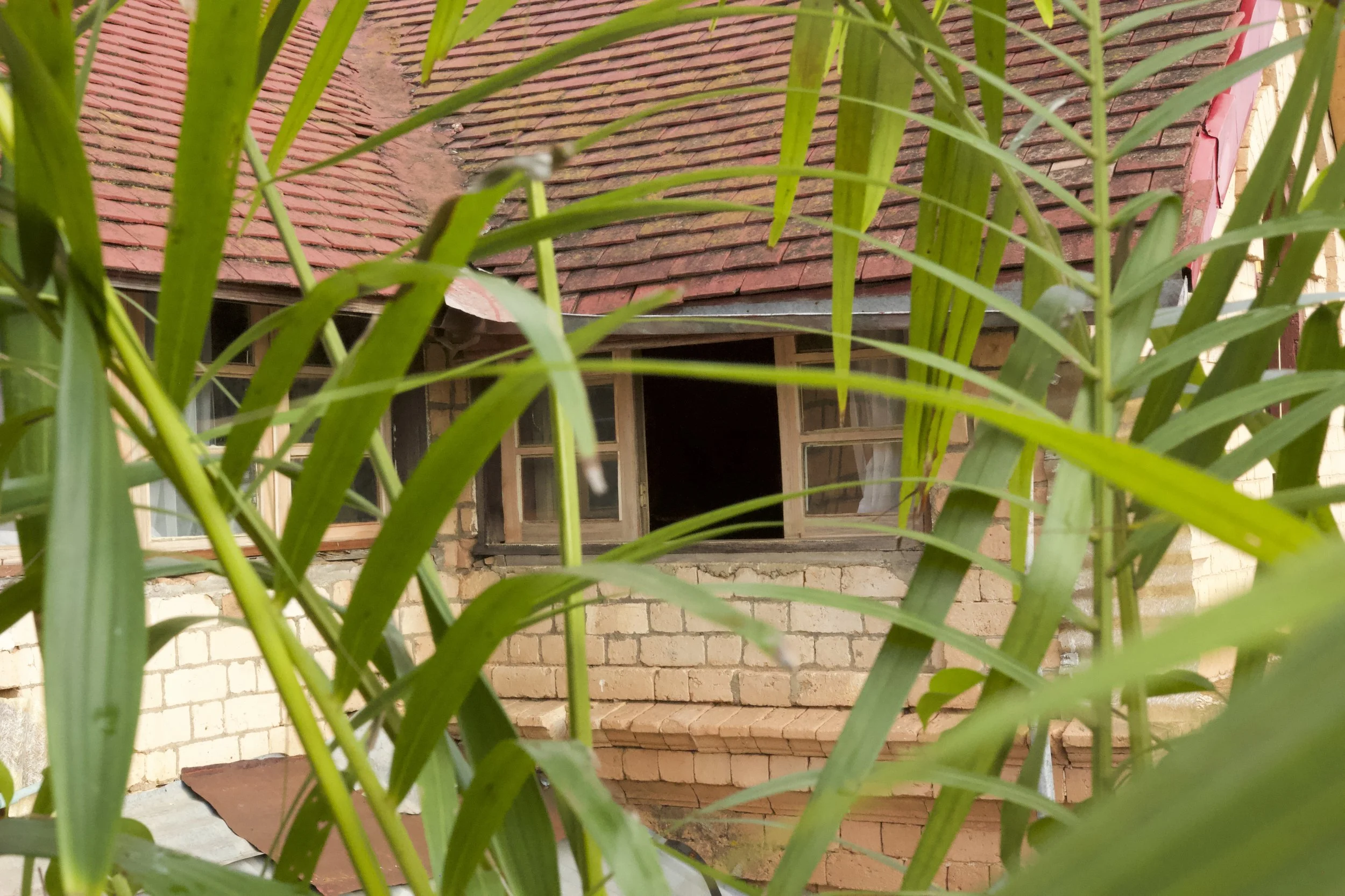 Massage aromatique (30 min)