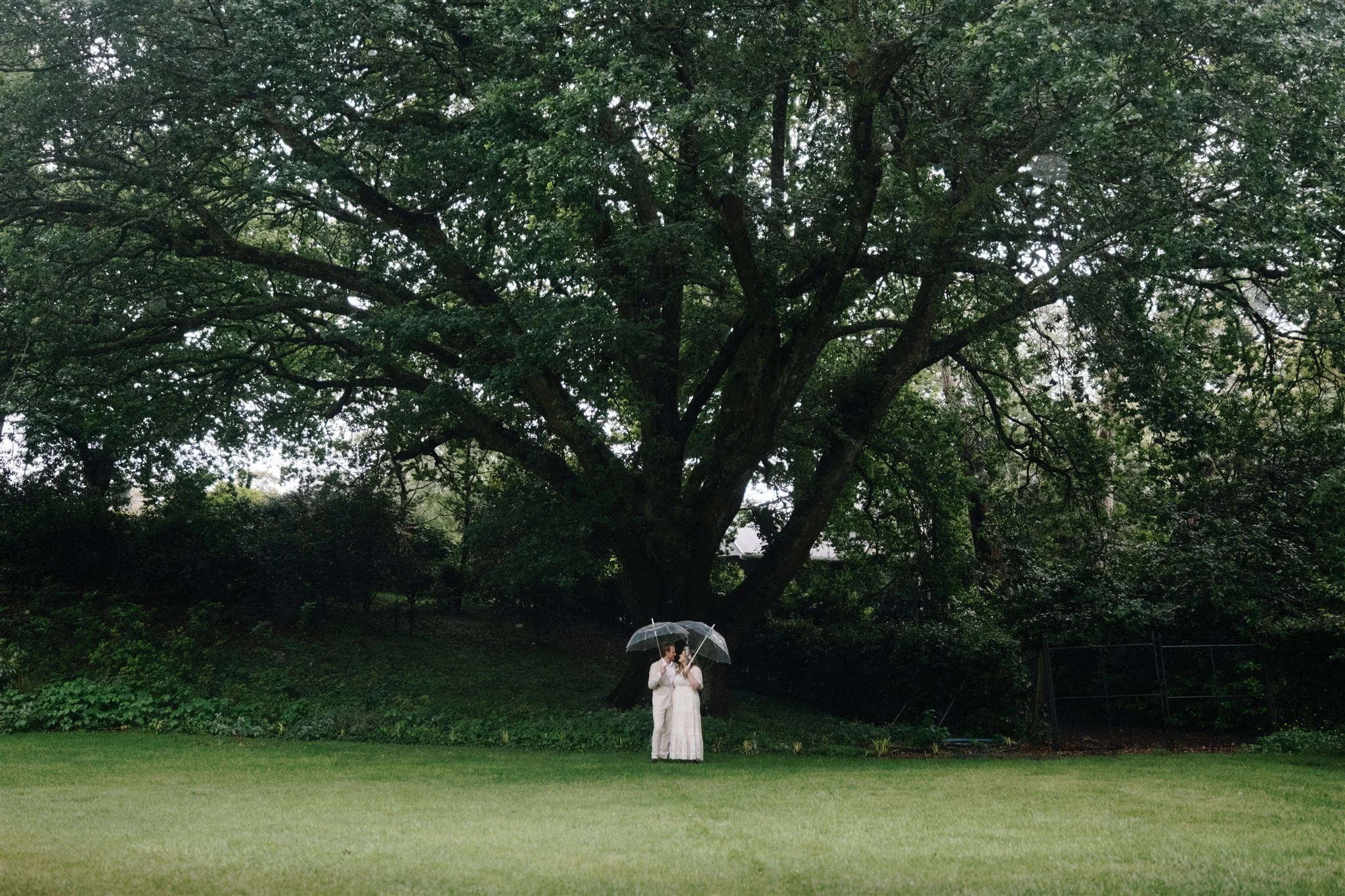 A couple dressed in white stands on a grassy lawn under a large tree, sharing an umbrella on a rainy day.
