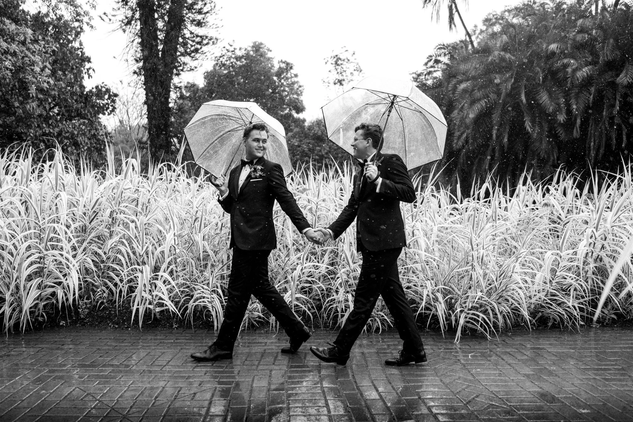Two men in tuxedos holding umbrellas walk hand in hand on a rainy day through a garden with tall grass, with trees in the background.