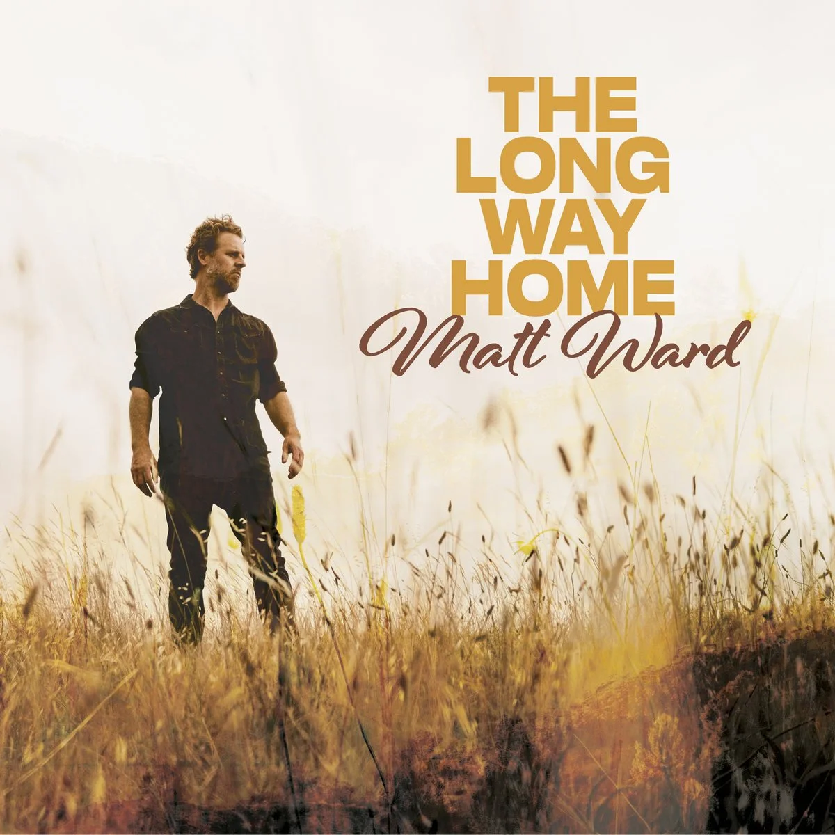 Album cover featuring a man walking through a field of tall grass with the title "The Long Way Home" and the artist's name "Matt Ward" displayed on a light background.