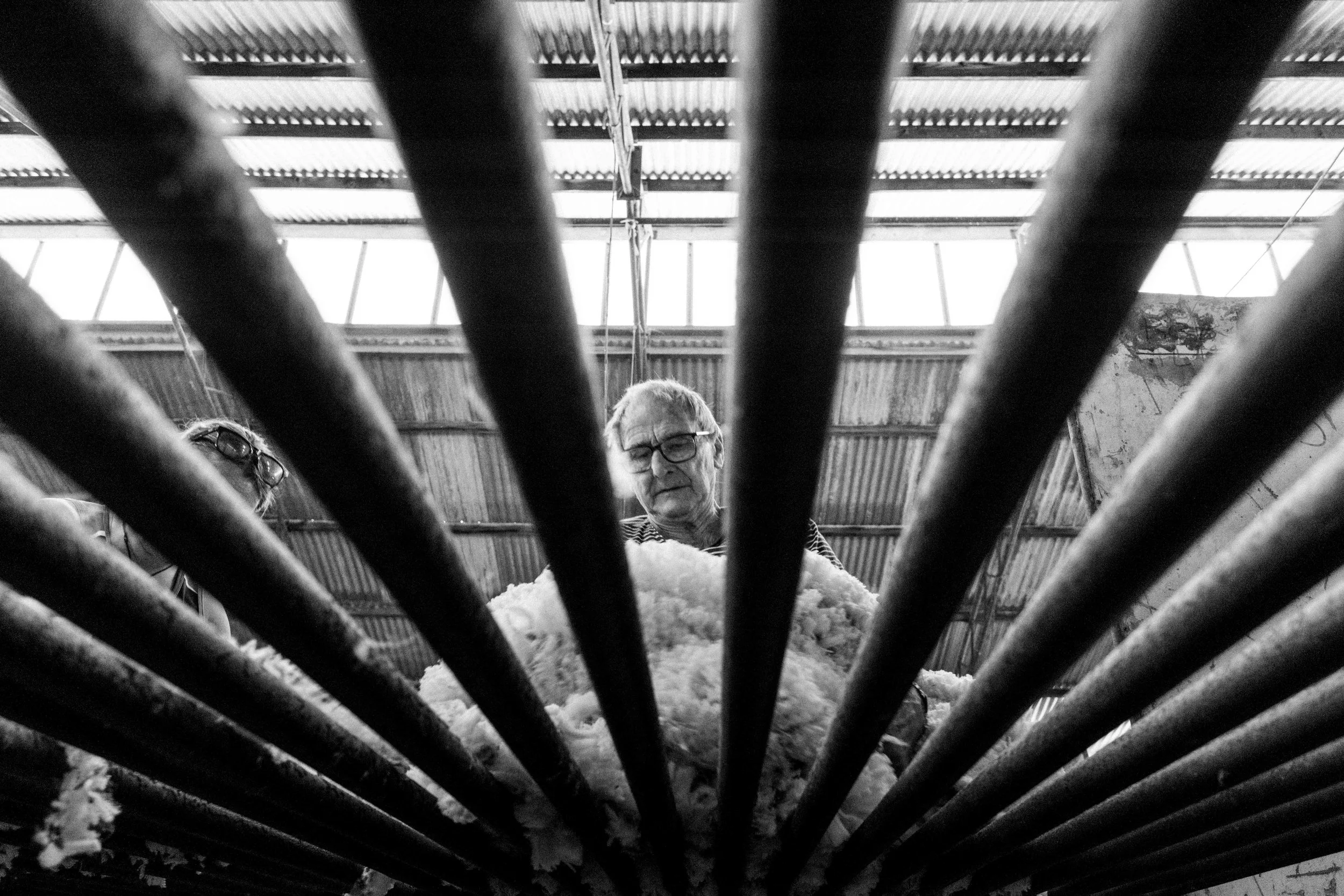 blade & bale-1-3.jpg