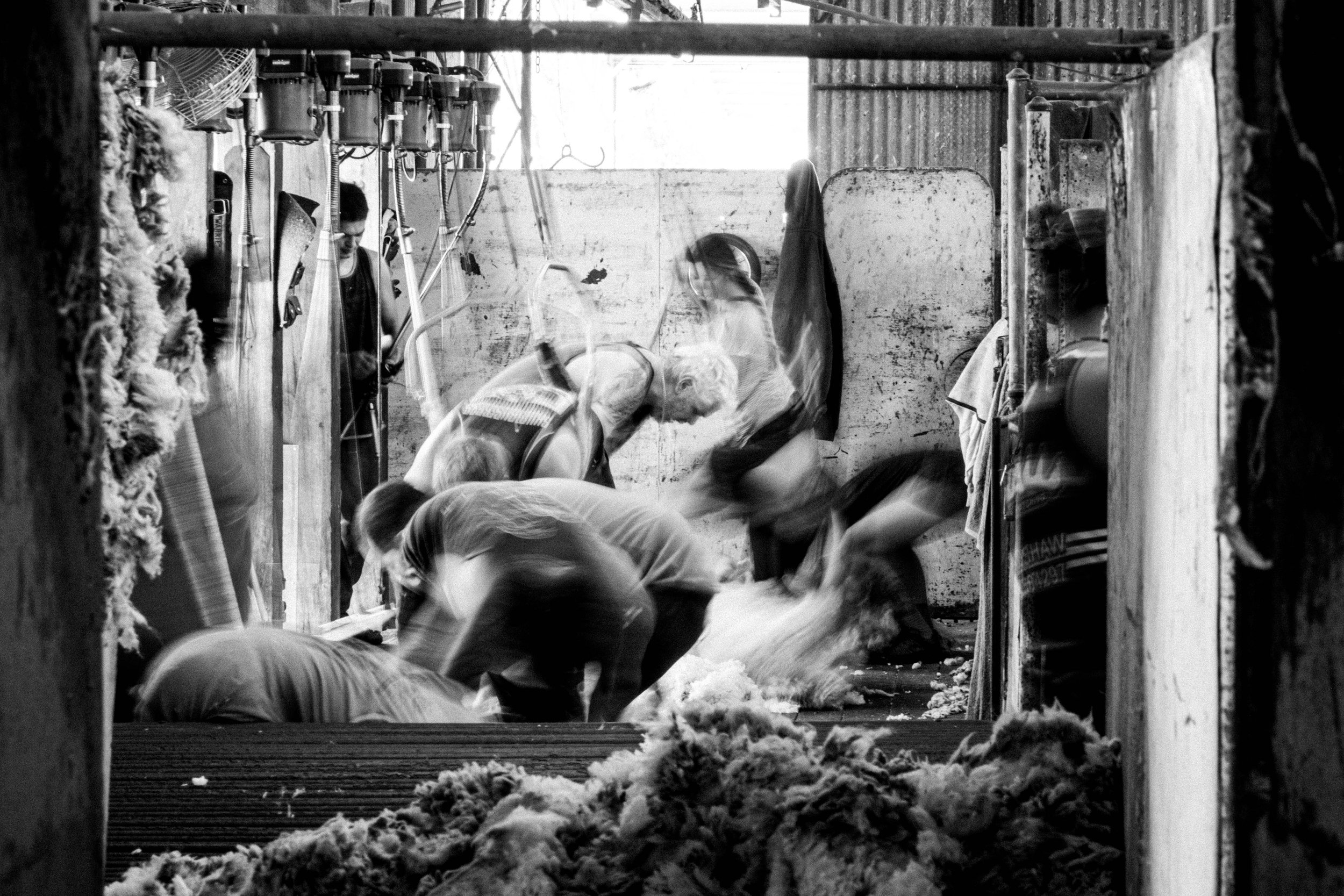 blade & bale-1-4.jpg