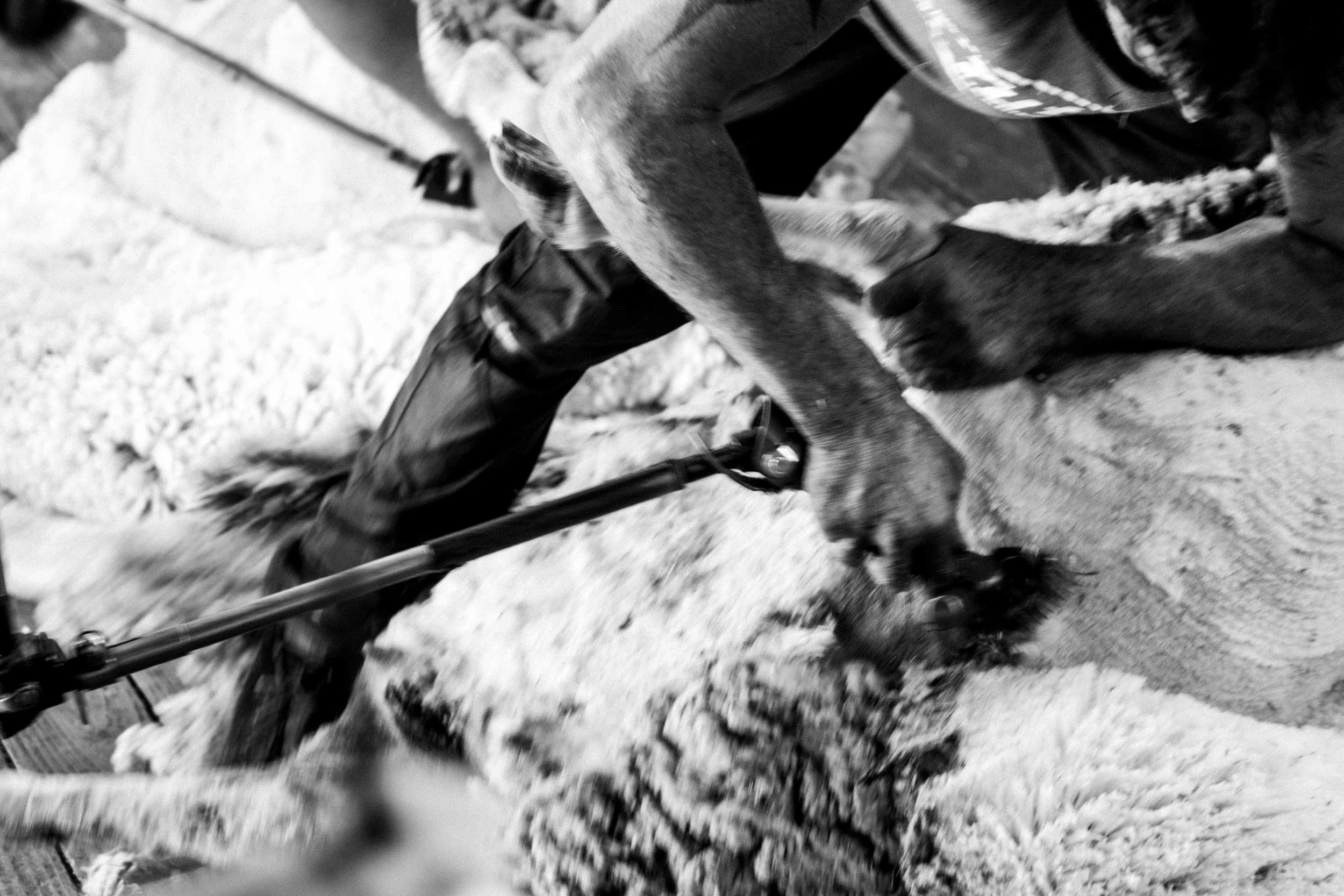 blade & bale-1 copy.jpg