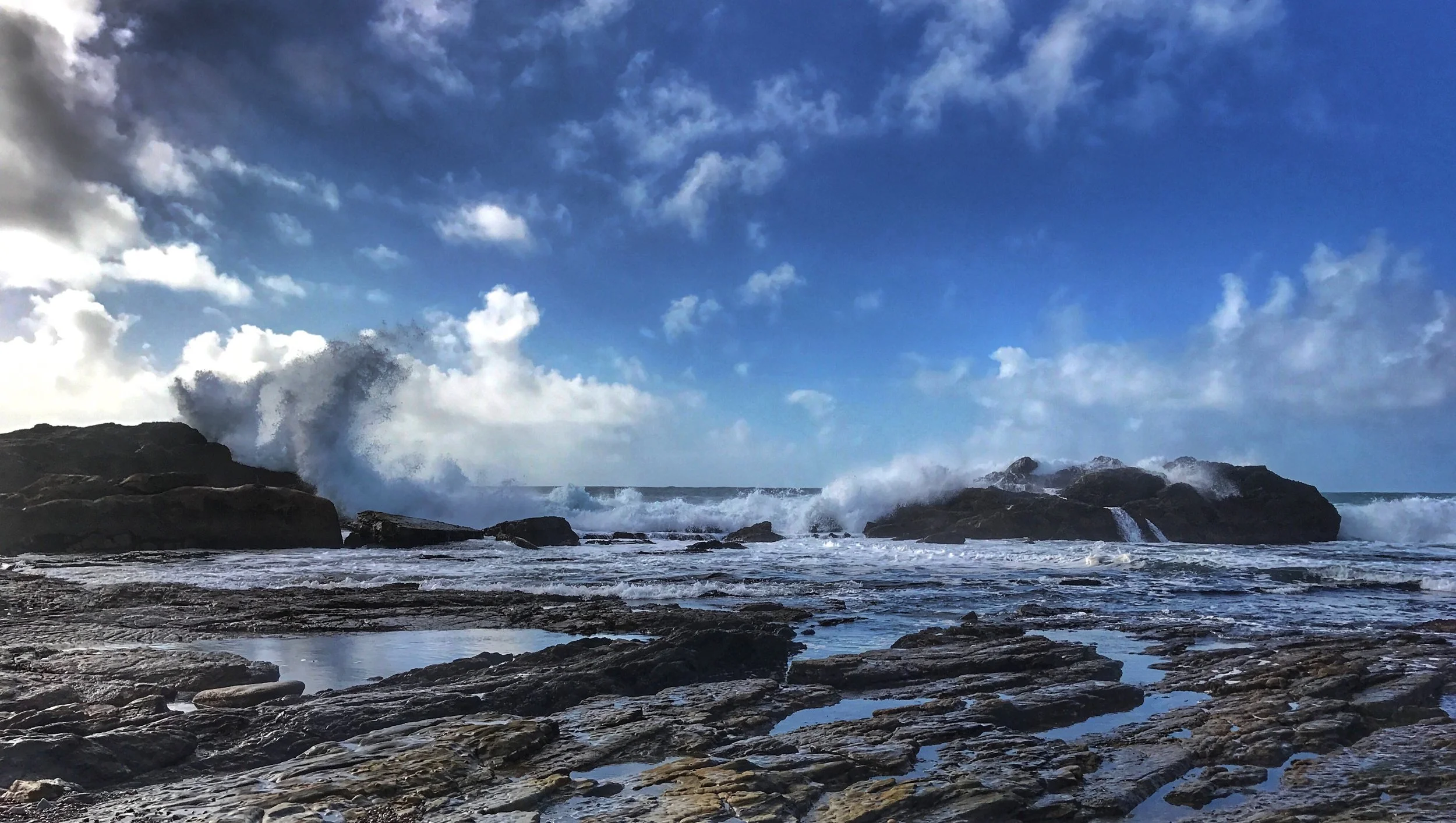 Pt Lobos Weston Cove