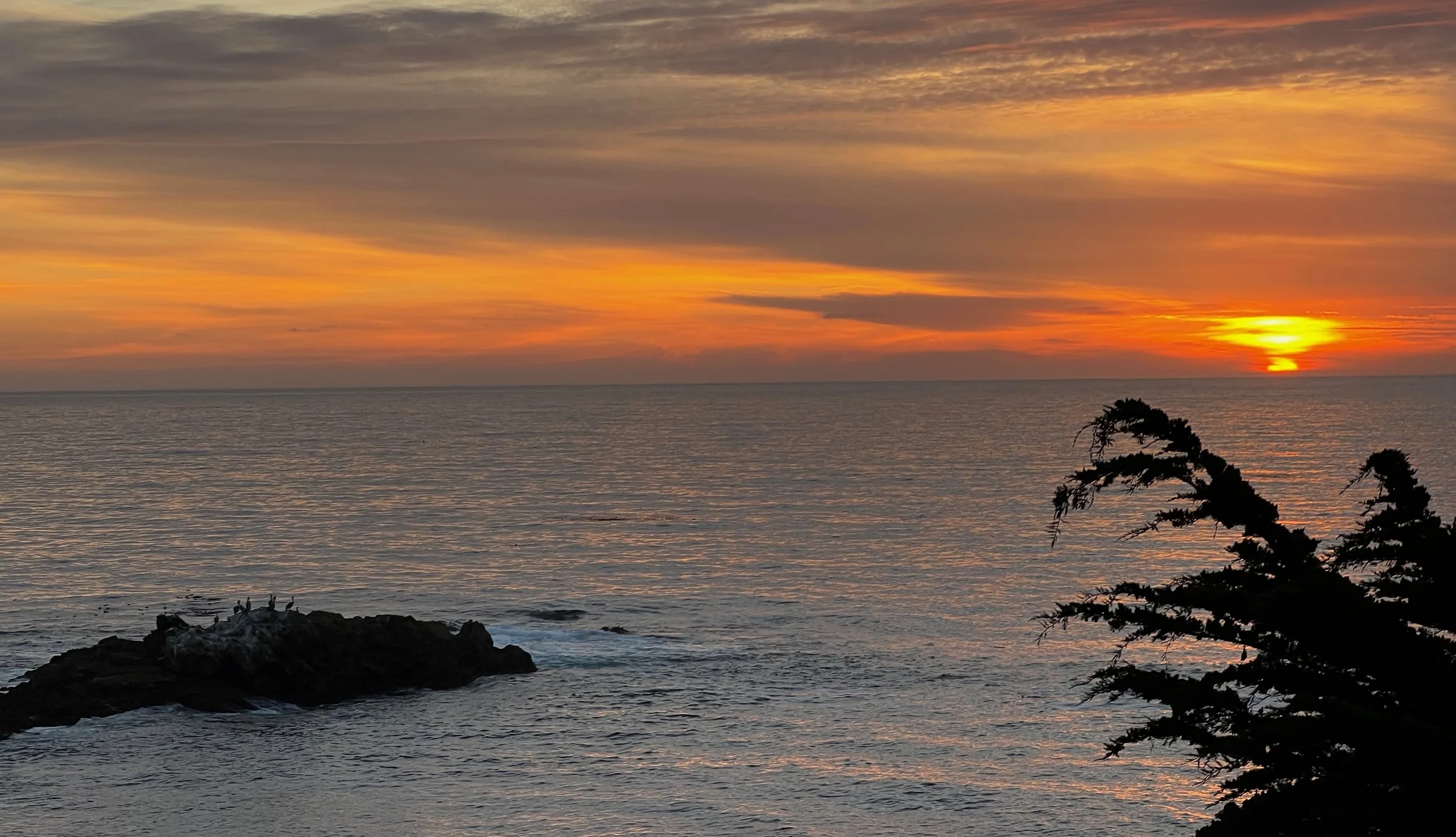Tor House Sunset Celebration
