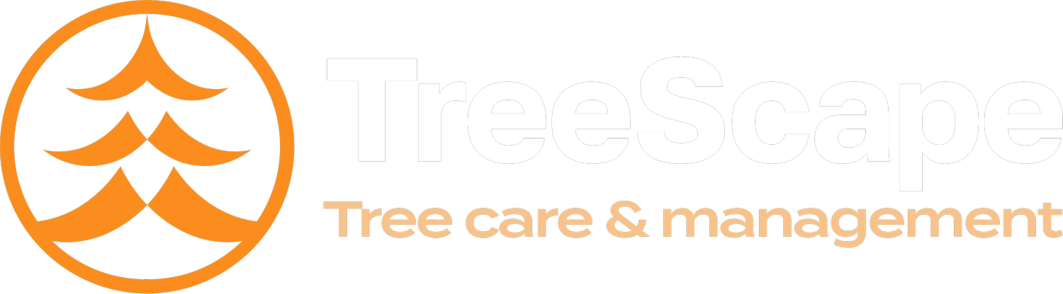 TreeScape | Tree care &amp; management
