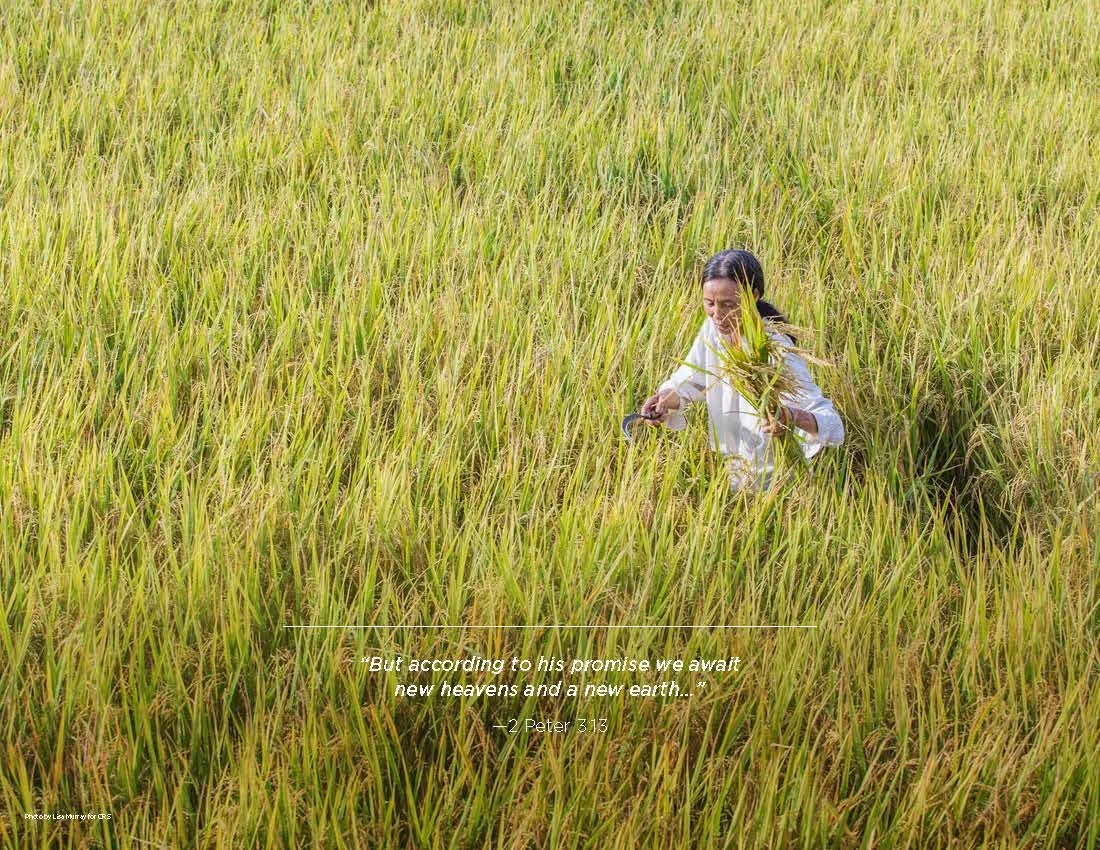 CRS BrandBook 012820_low_Page_014.jpg