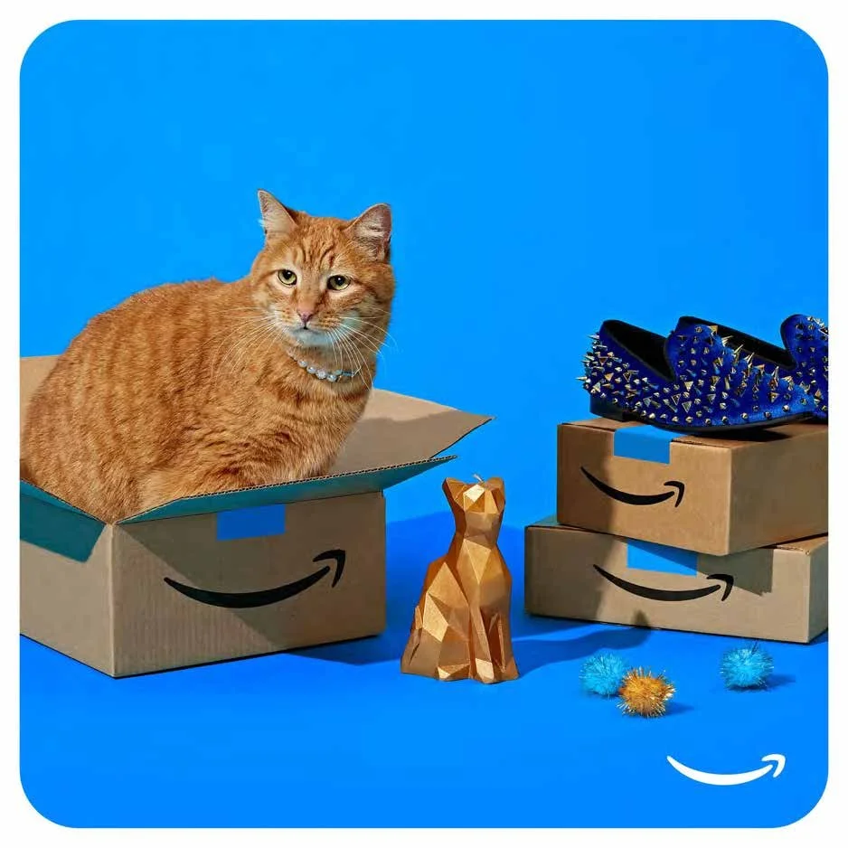 Campaigns & Launches